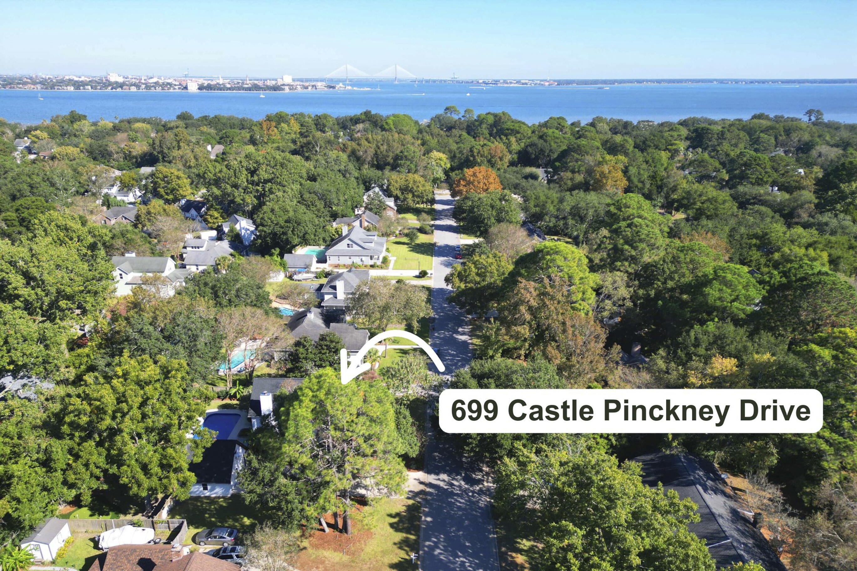 699 Castle Pinckney Drive