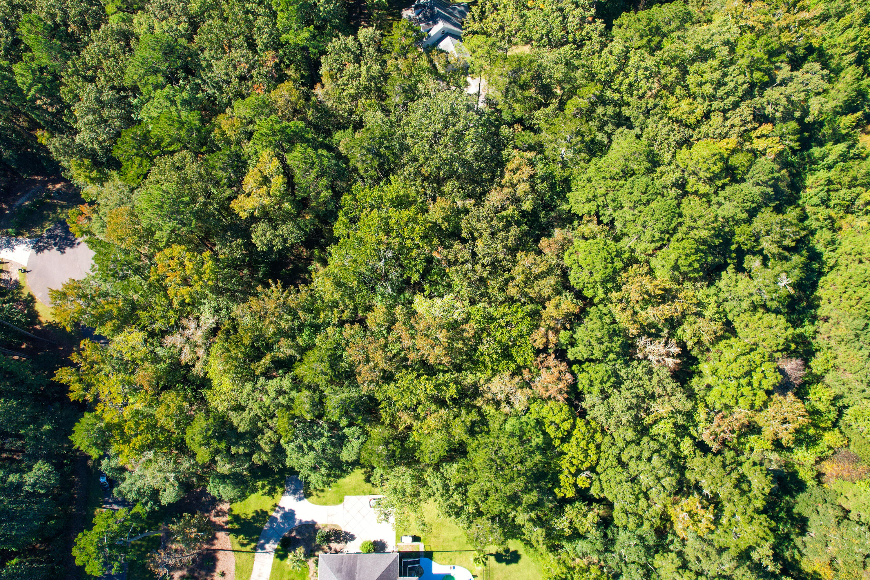 6682 Pepper Grass Trail