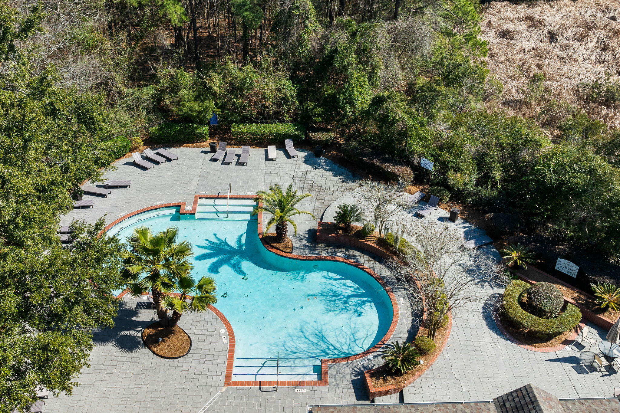 700 Daniel Ellis Drive # 8306