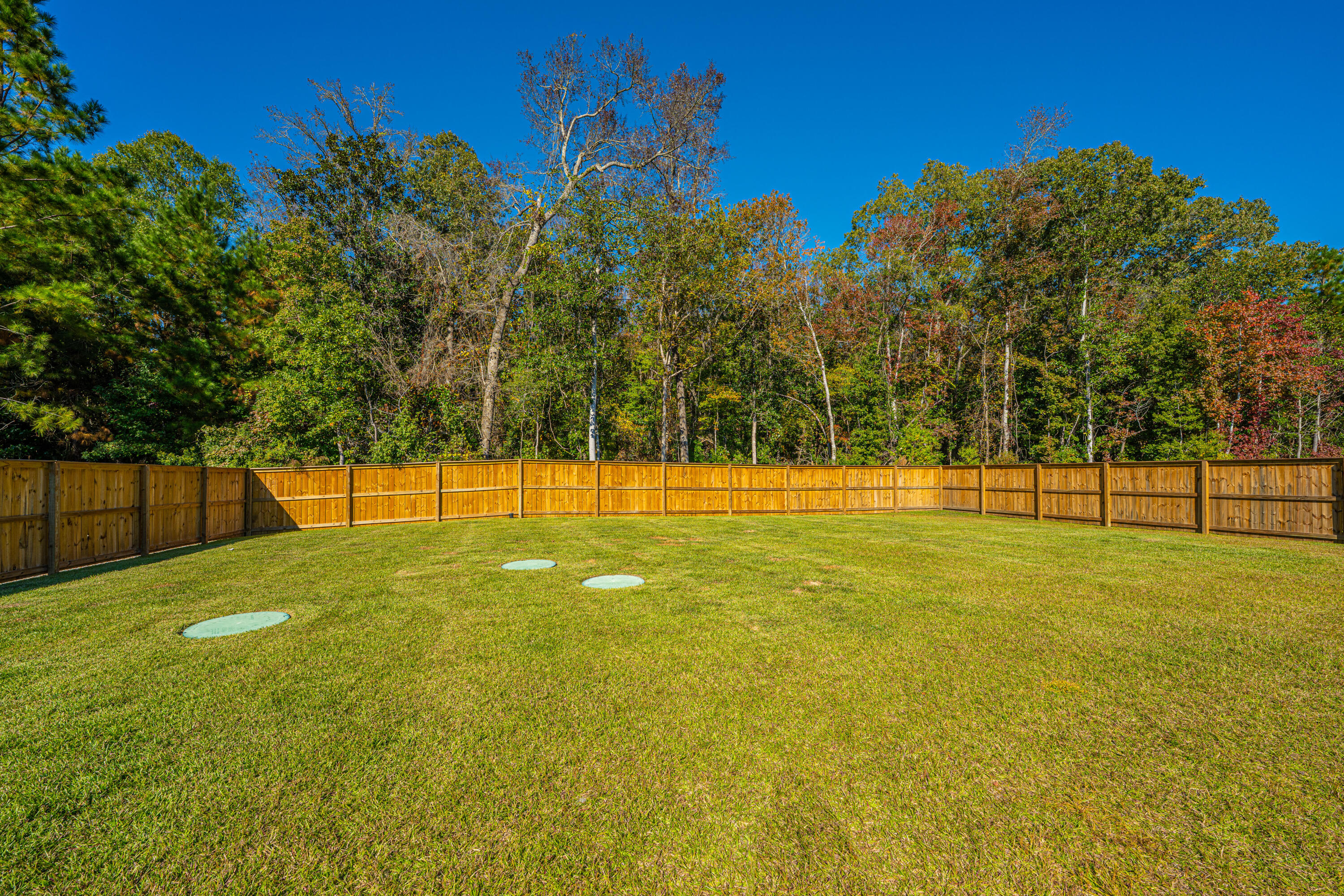 5073 Lady Bird Alley