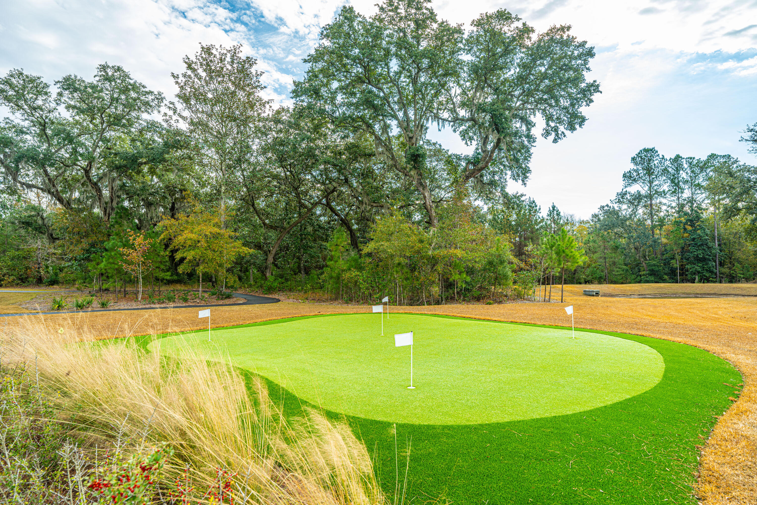 5073 Lady Bird Alley