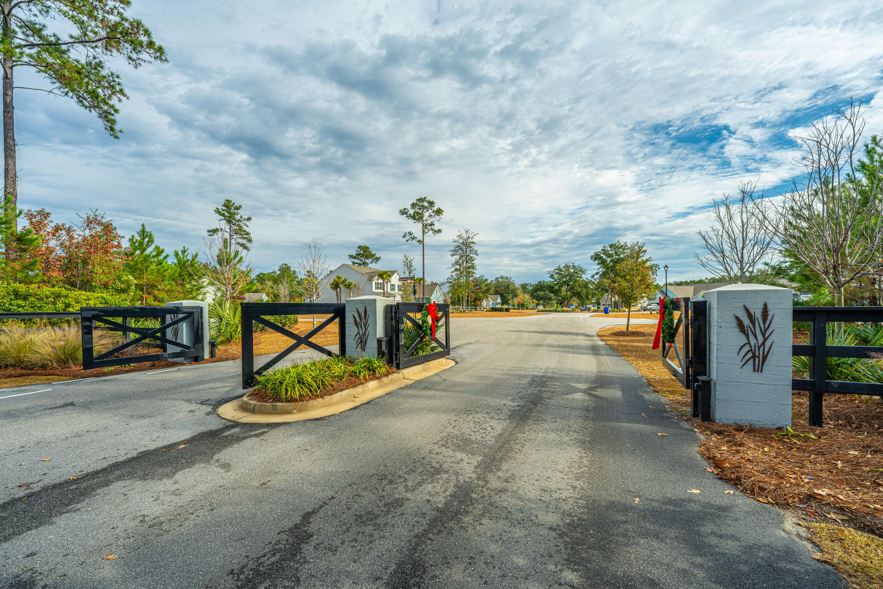 5073 Lady Bird Alley