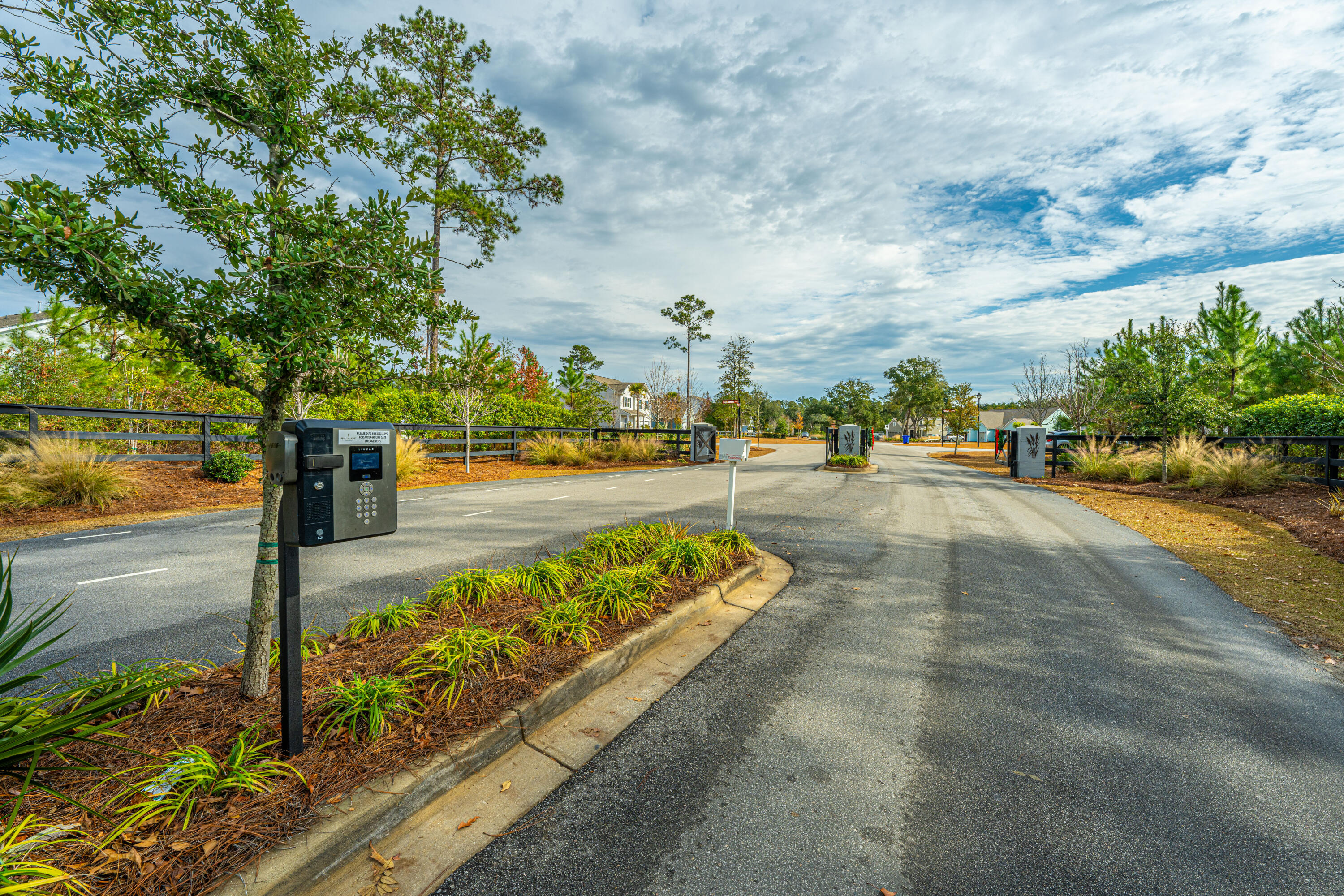 5073 Lady Bird Alley