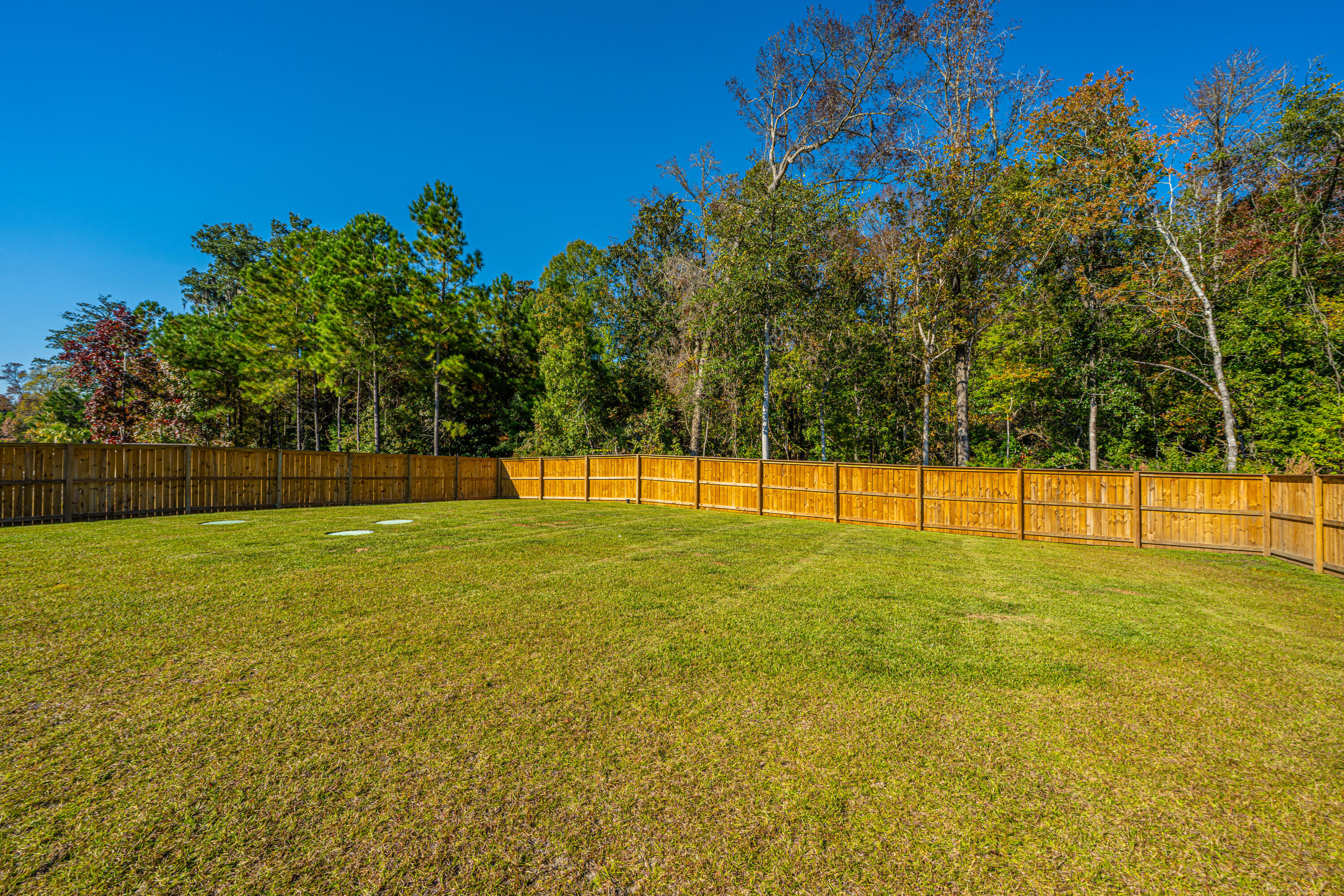 5073 Lady Bird Alley