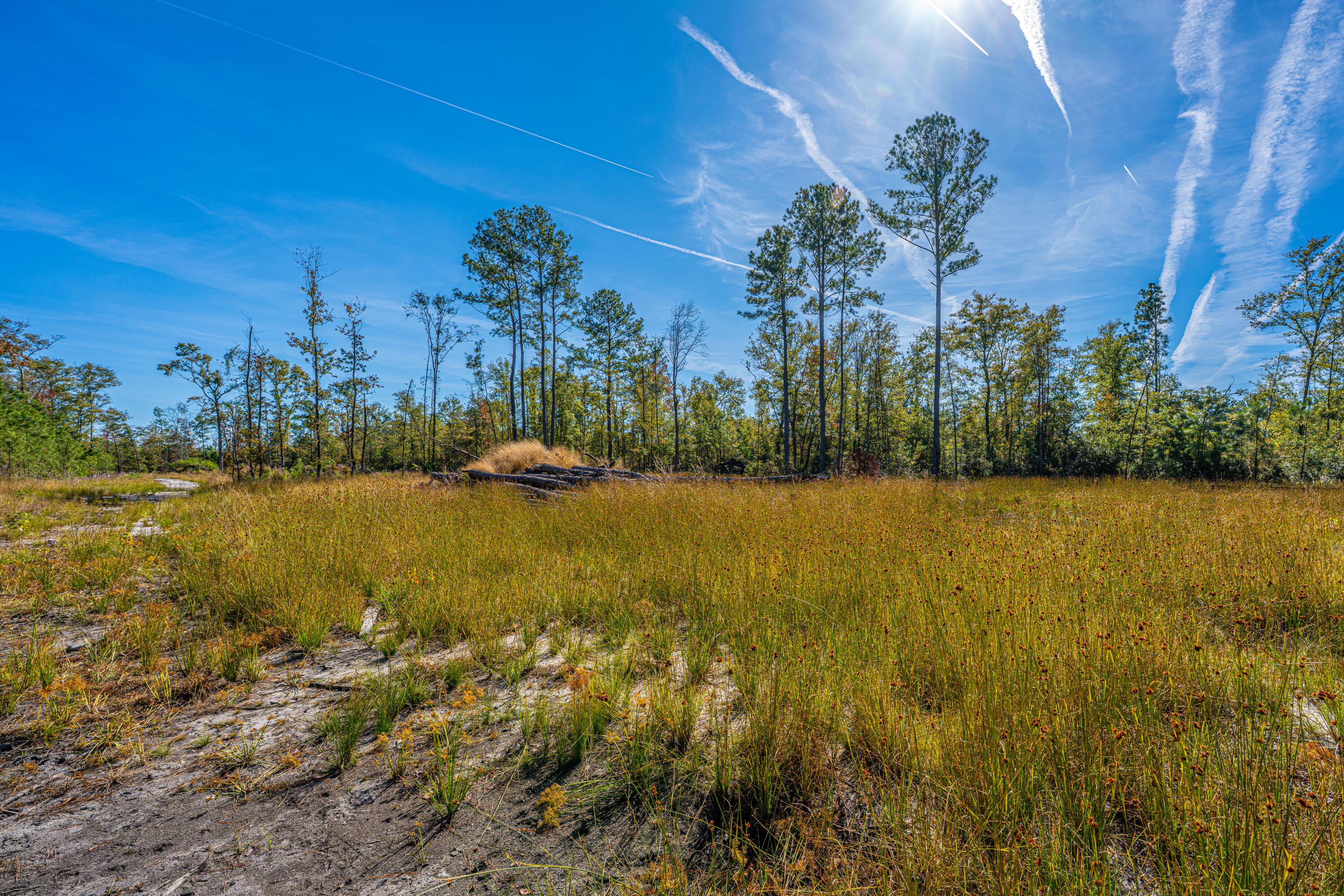 0 Limehouse Lane # 5 Unit: Lots 2-5