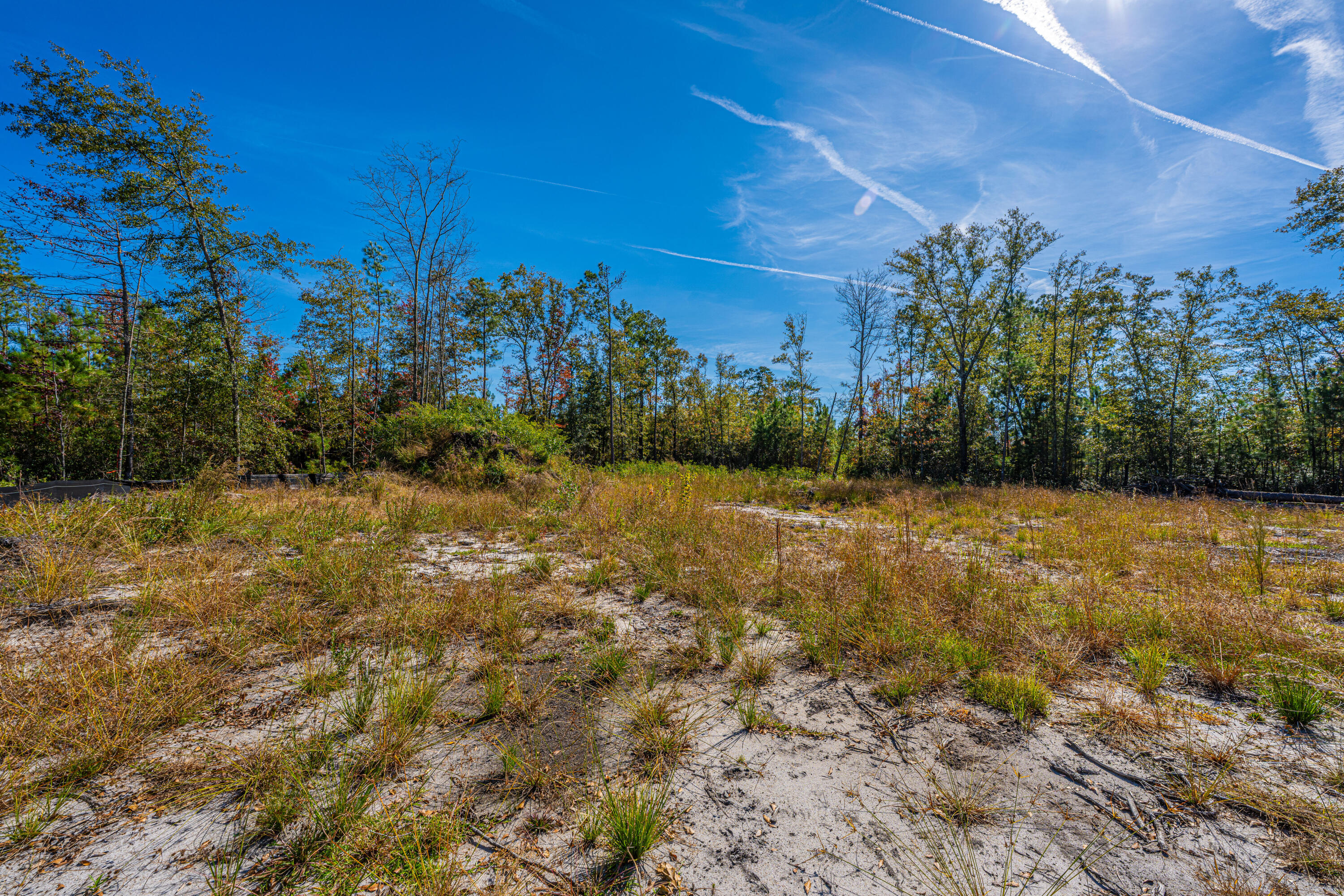 0 Limehouse Lane # 5 Unit: Lots 2-5