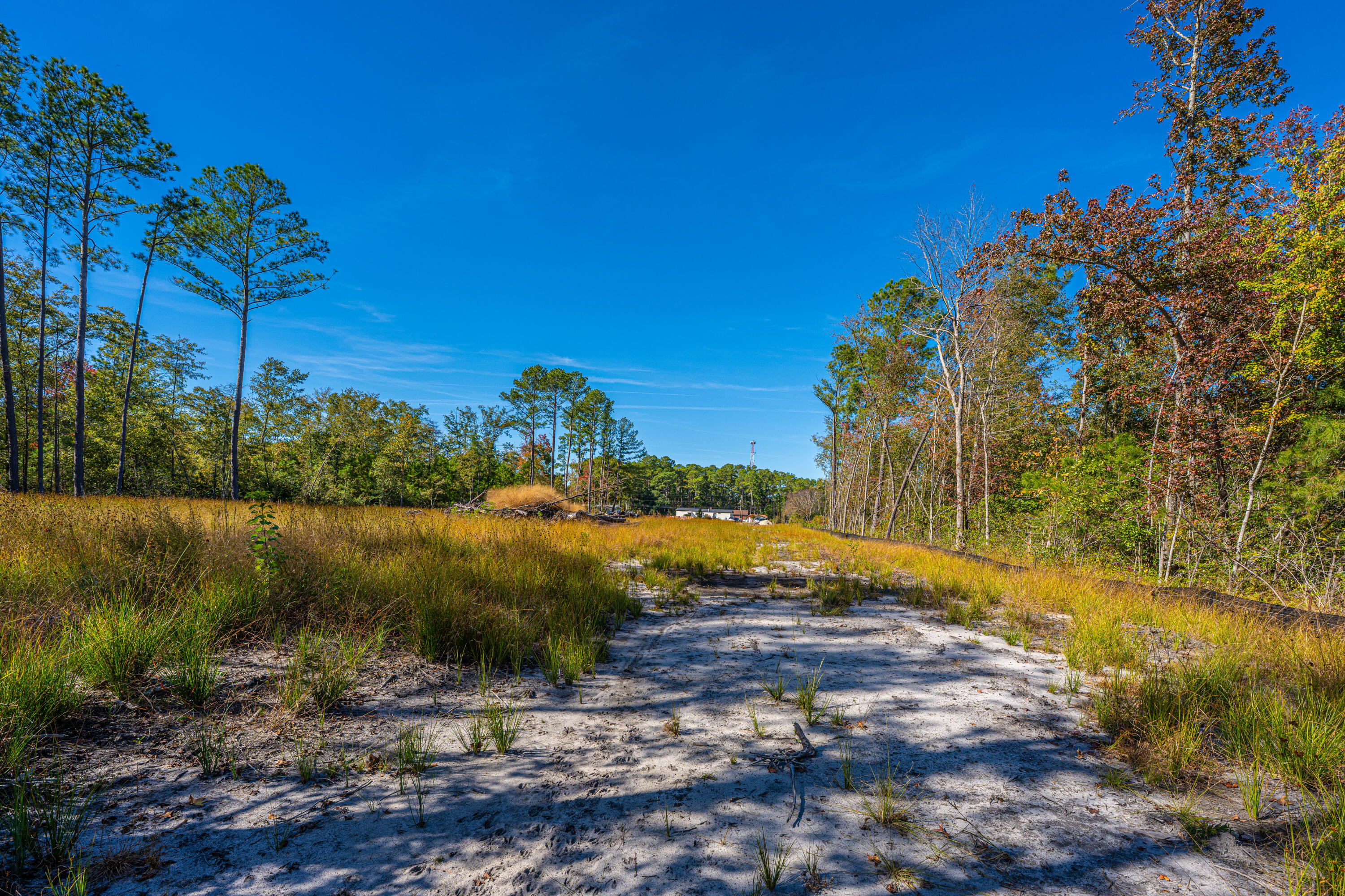 0 Limehouse Lane # 5 Unit: Lots 2-5