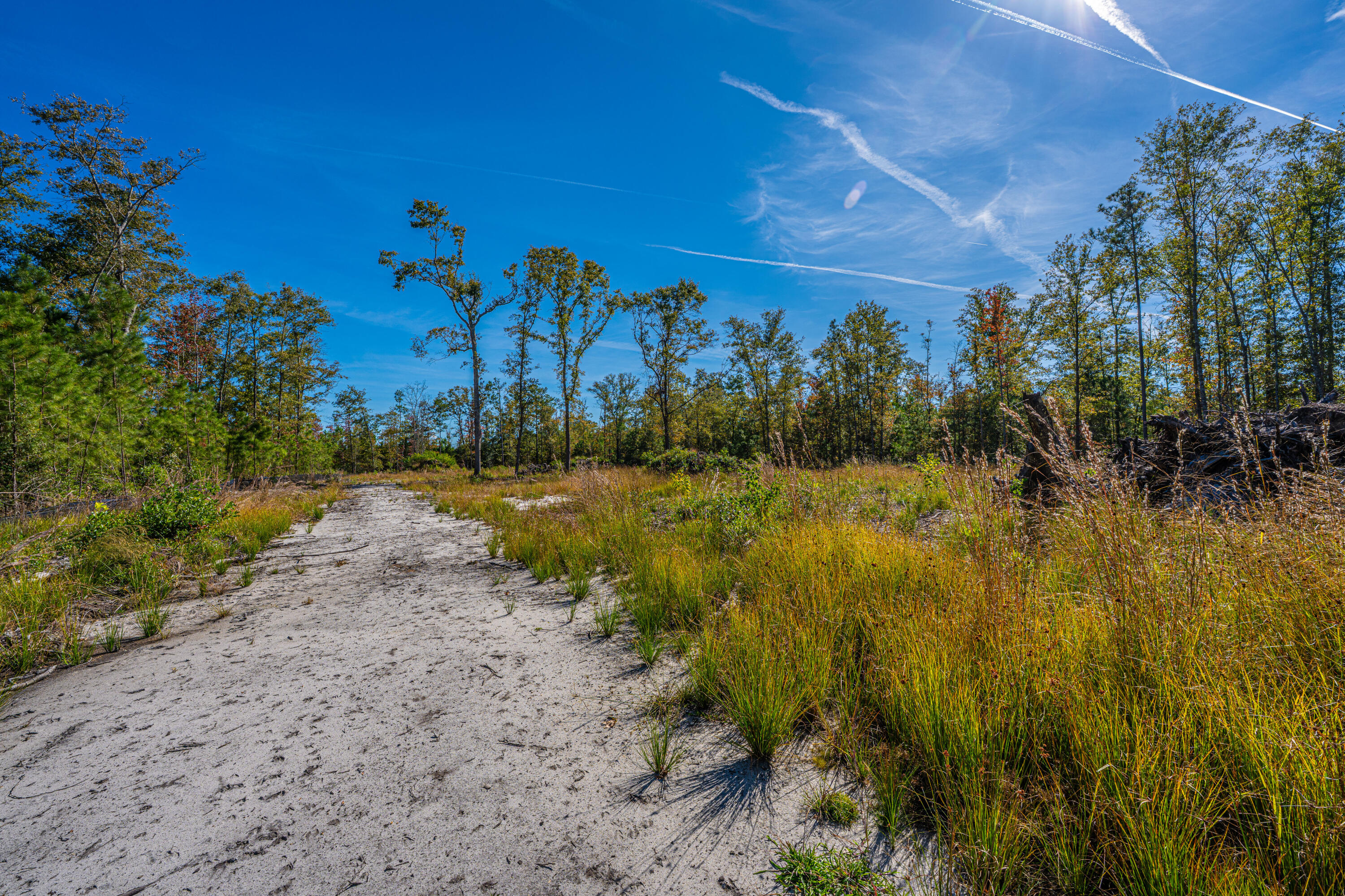 0 Limehouse Lane # 5 Unit: Lots 2-5