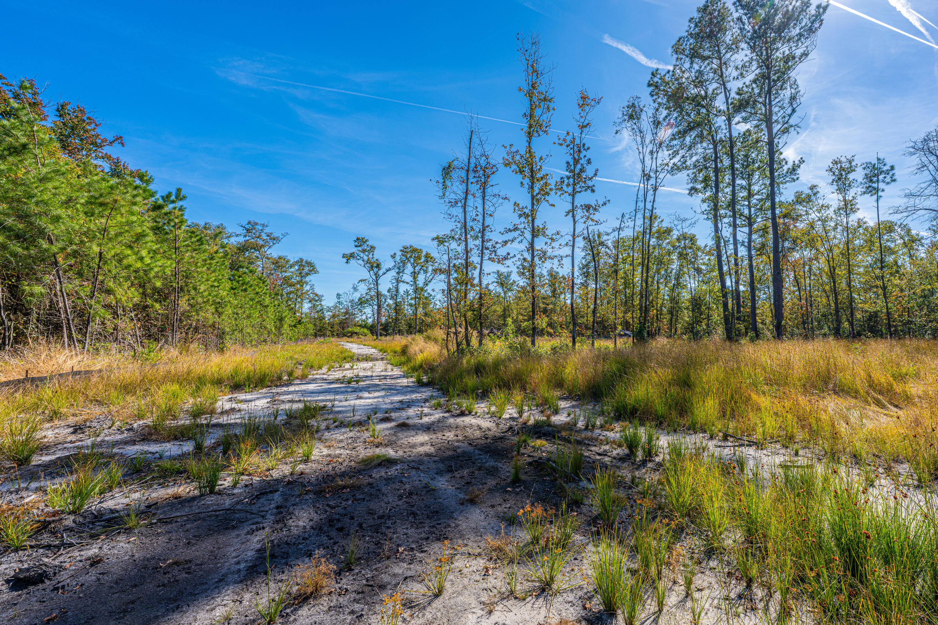 0 Limehouse Lane # 5 Unit: Lots 2-5
