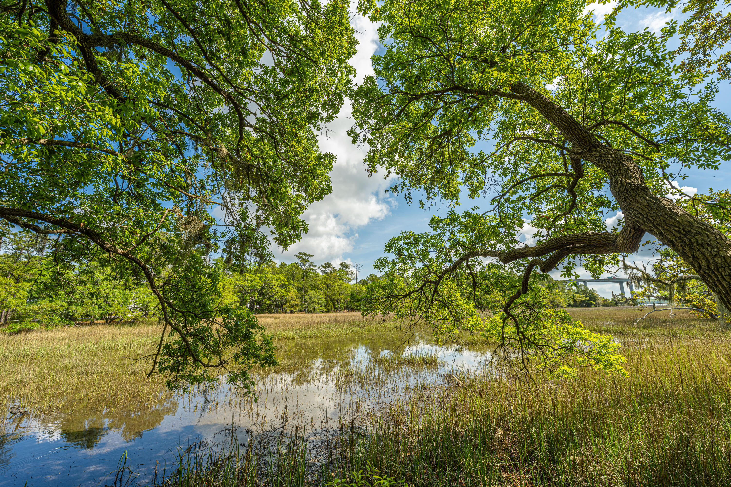 130 River Landing Drive # 3113