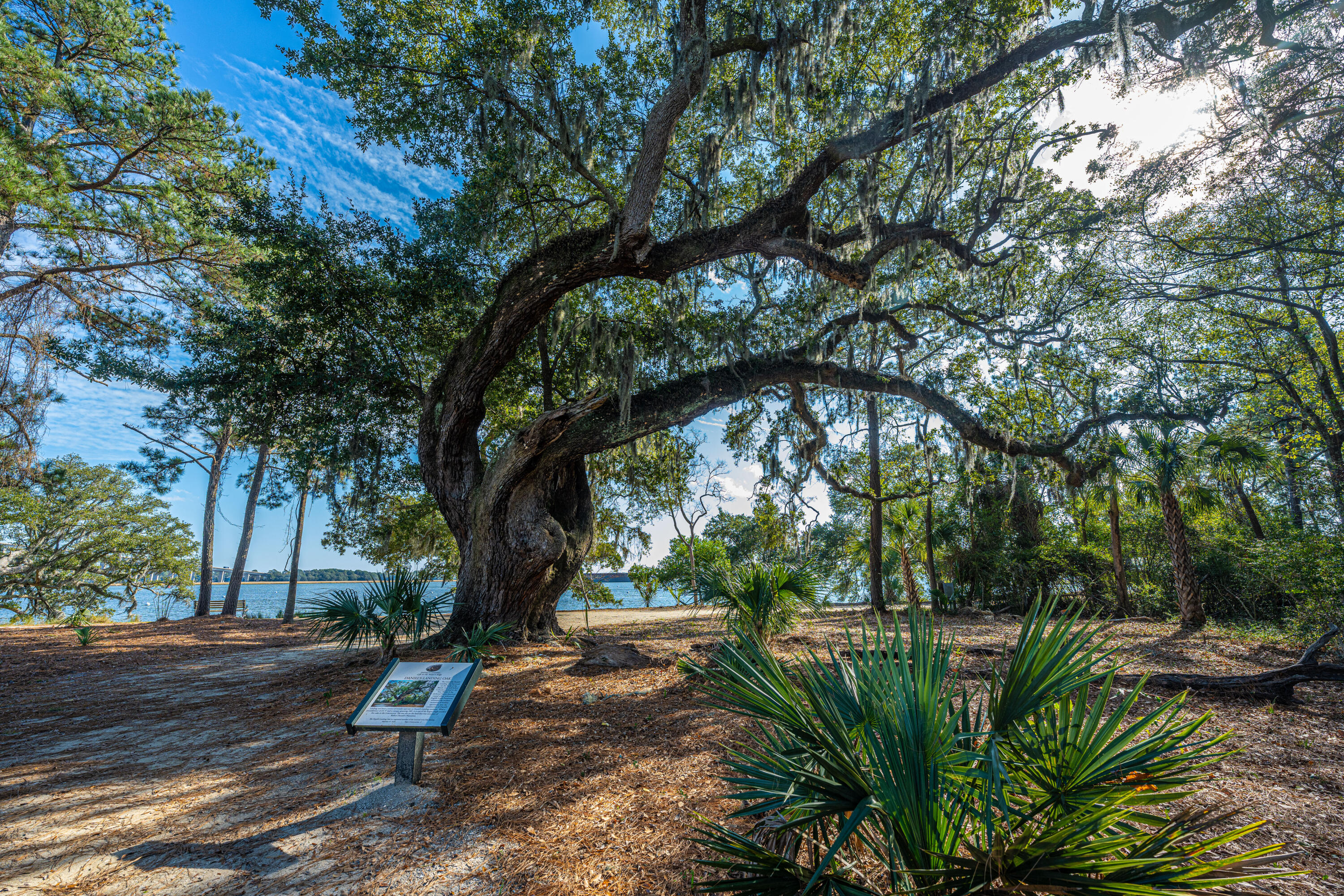 130 River Landing Drive # 3113