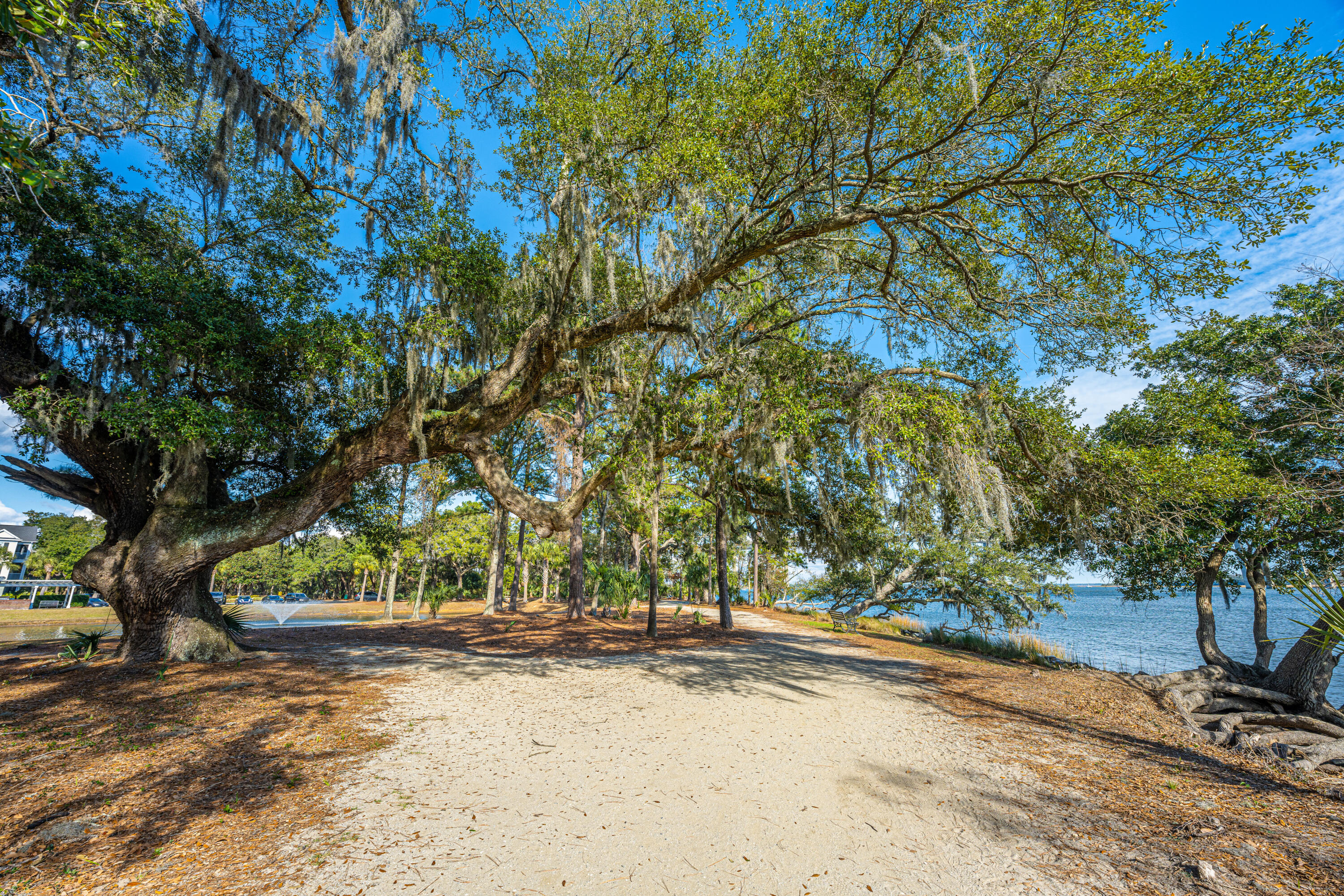 130 River Landing Drive # 3113