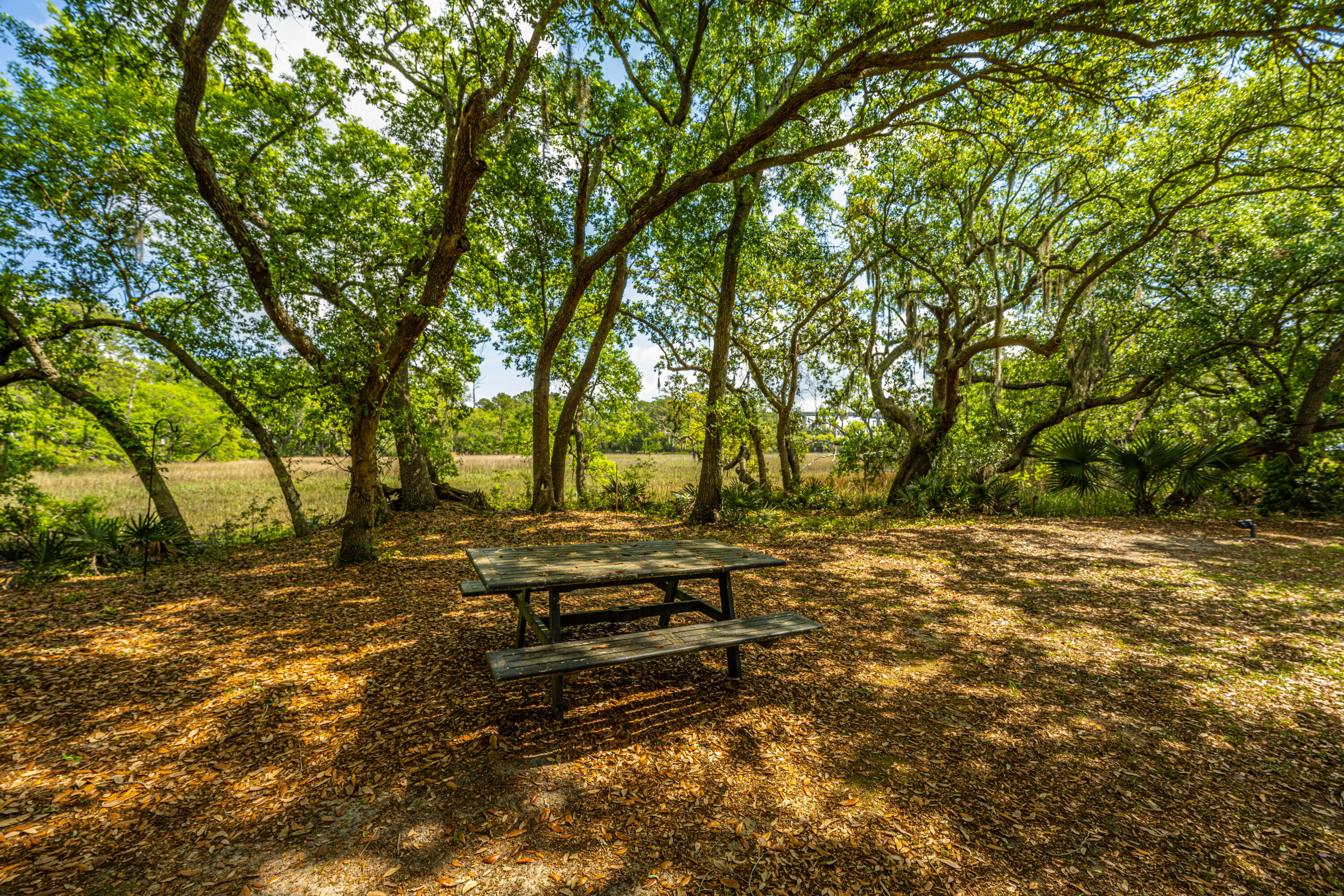 130 River Landing Drive # 3113