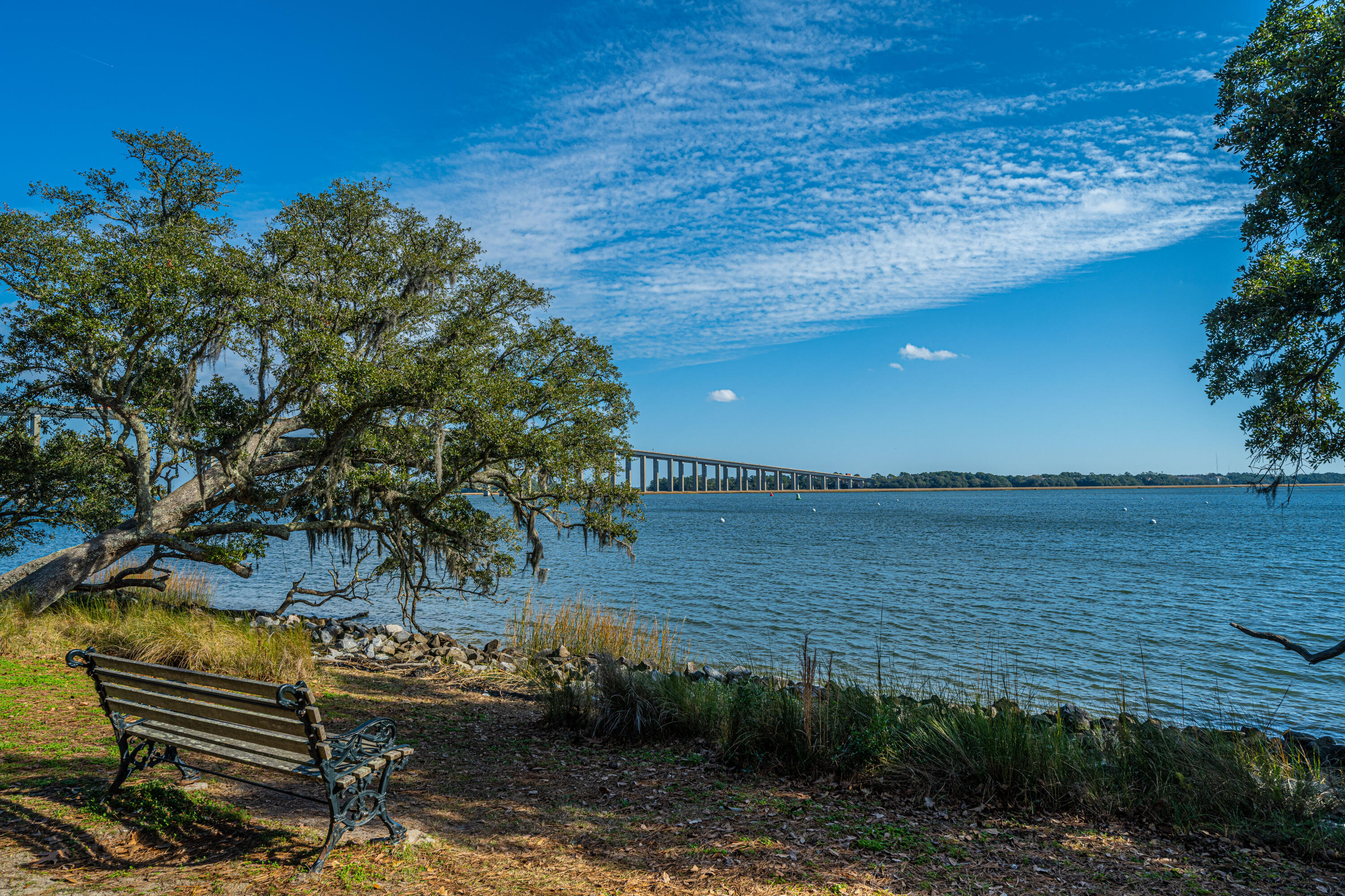 130 River Landing Drive # 3113