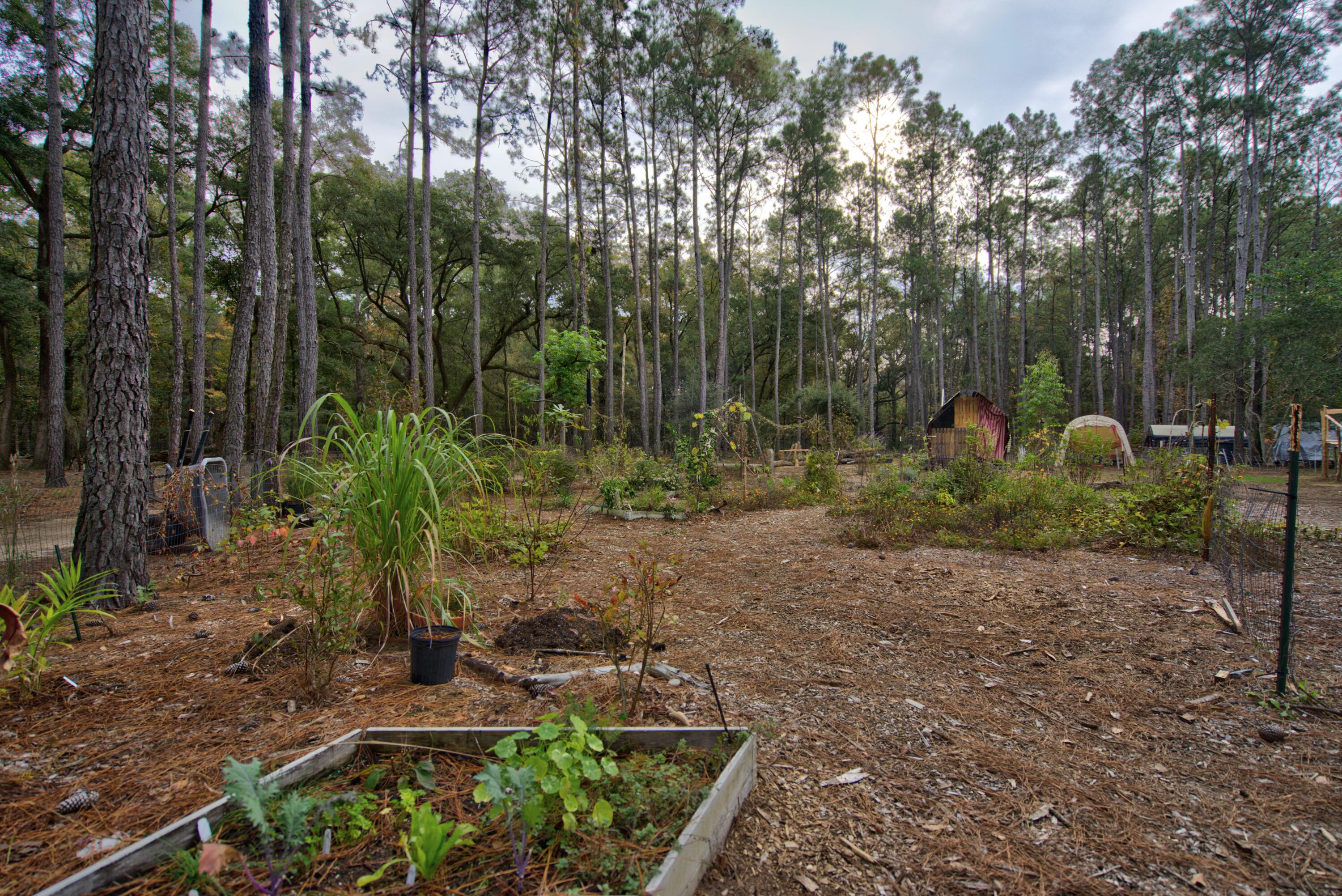 1407 Geneva Shaw Lane