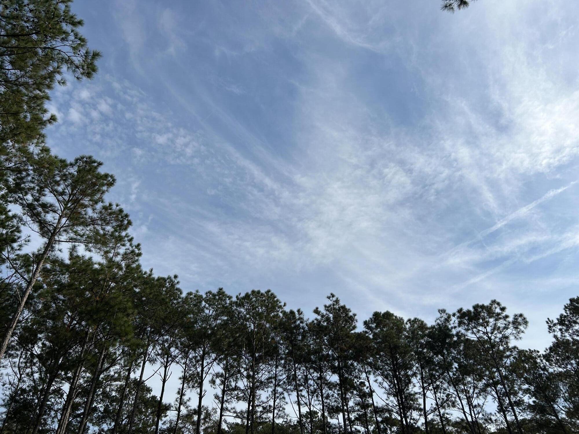 1407 Geneva Shaw Lane