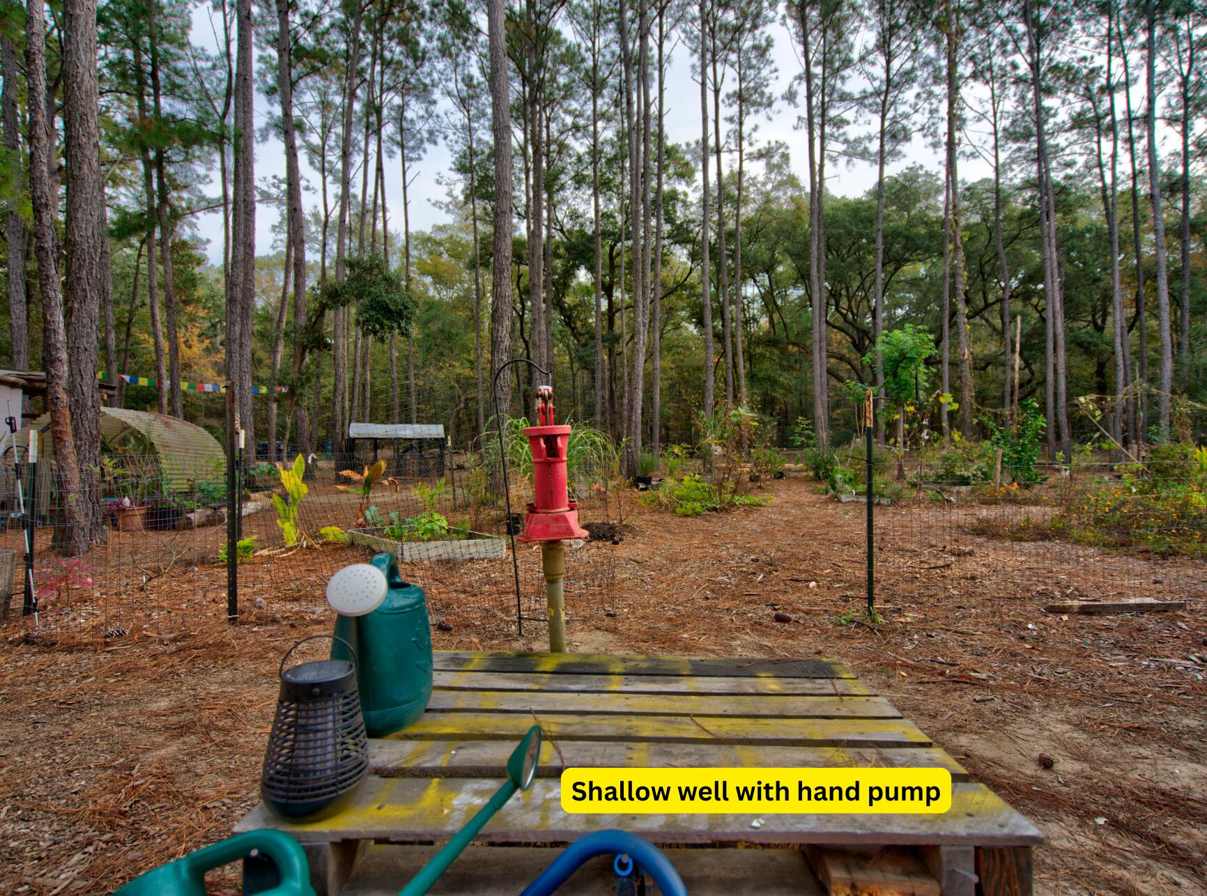 1407 Geneva Shaw Lane