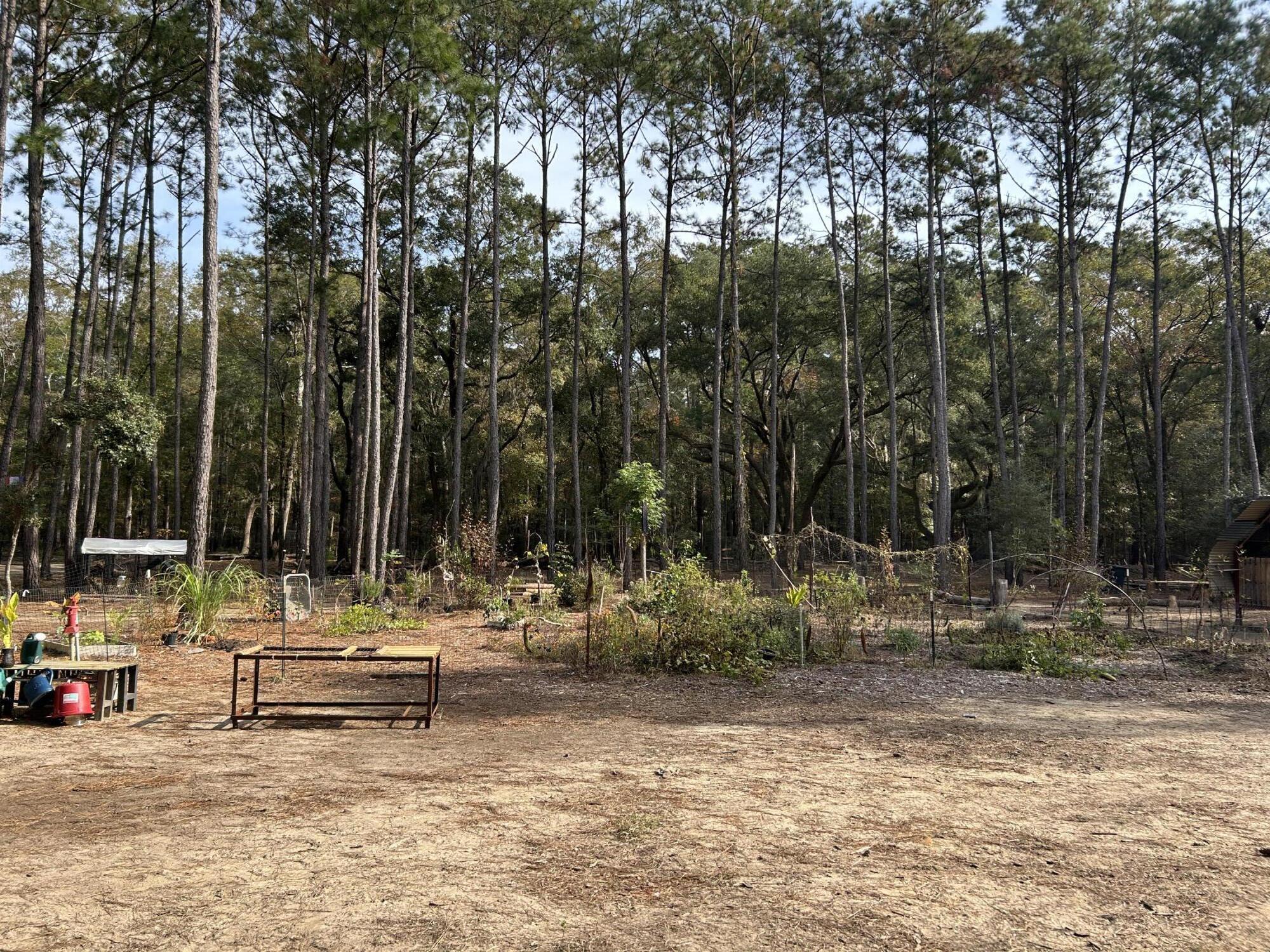 1407 Geneva Shaw Lane