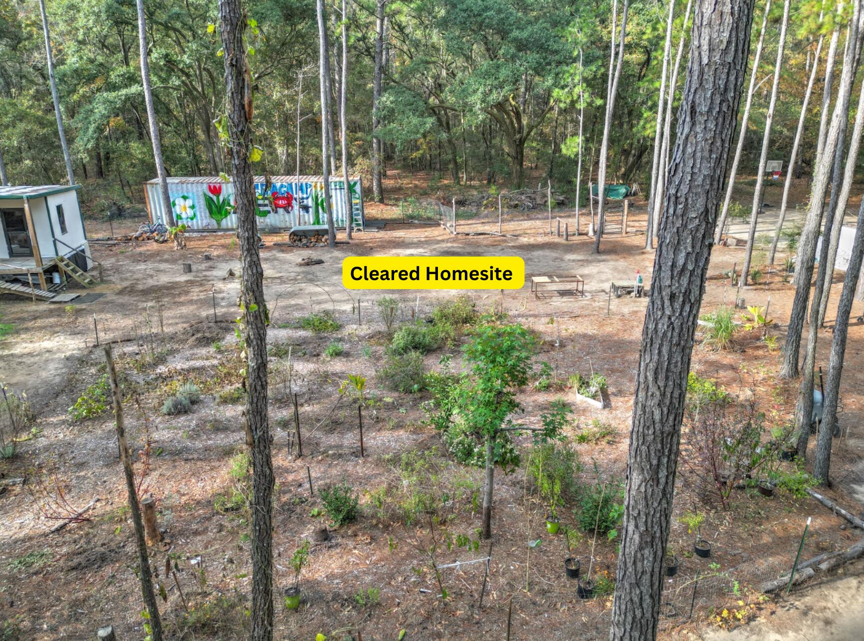 1407 Geneva Shaw Lane