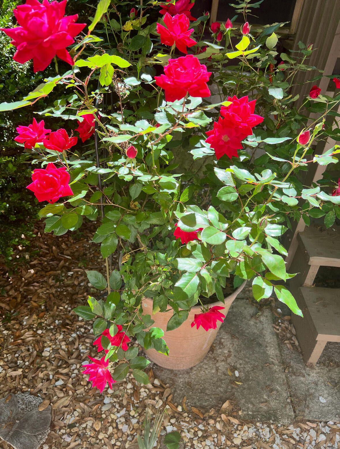 1509 W Palmetto Fort Drive