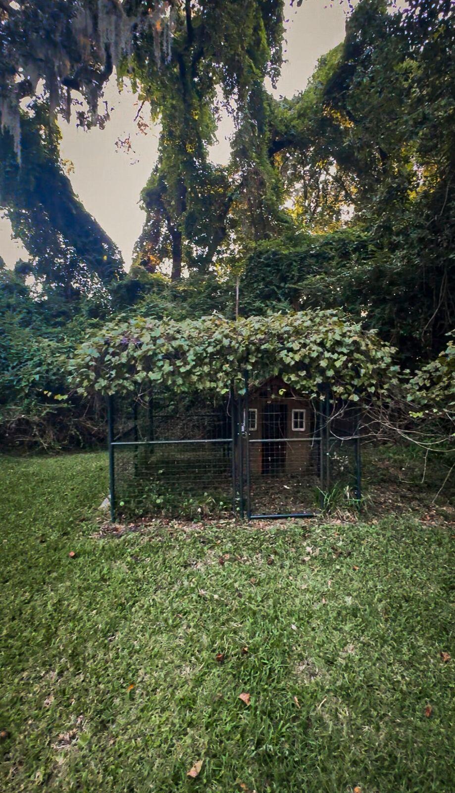 1509 W Palmetto Fort Drive