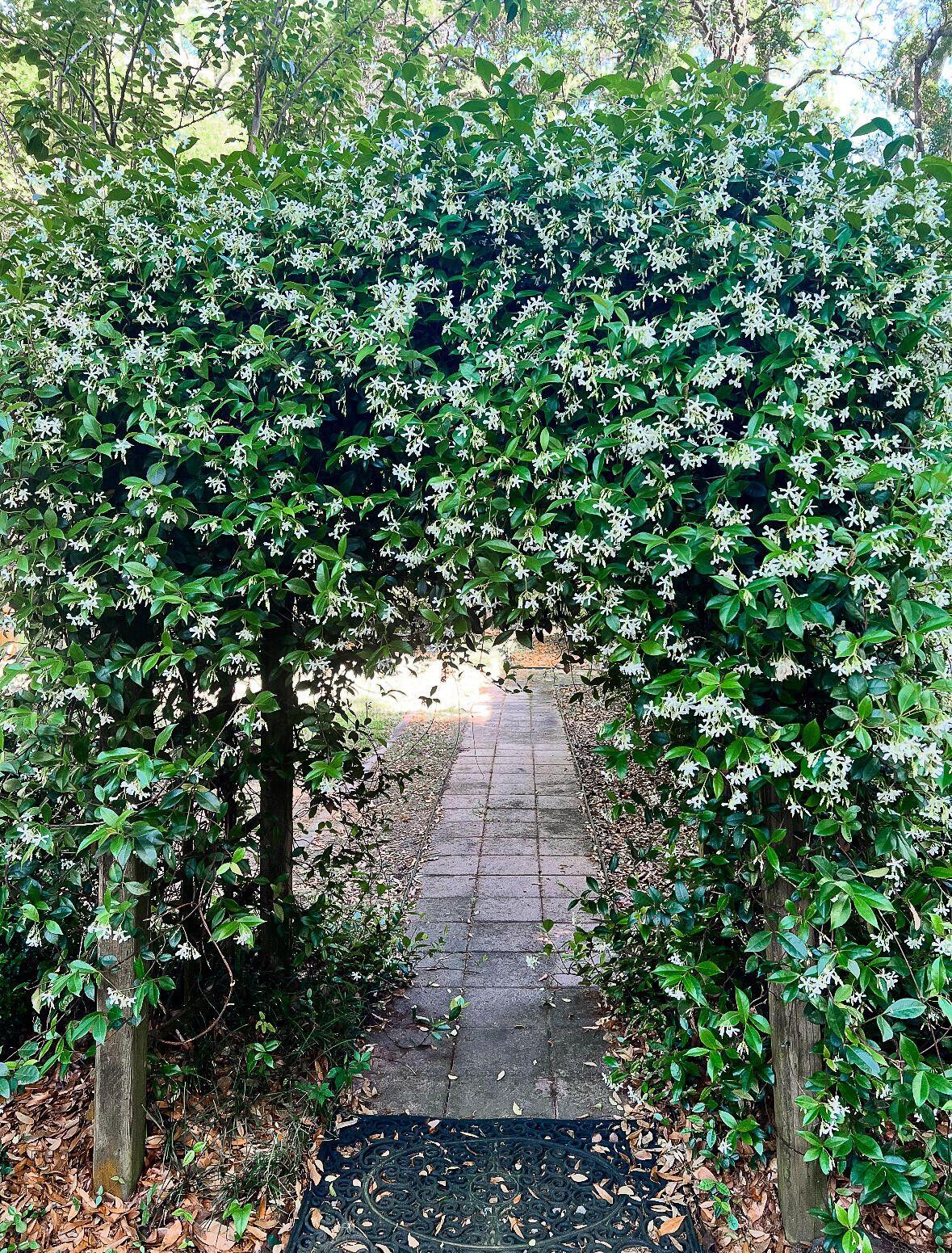 1509 W Palmetto Fort Drive