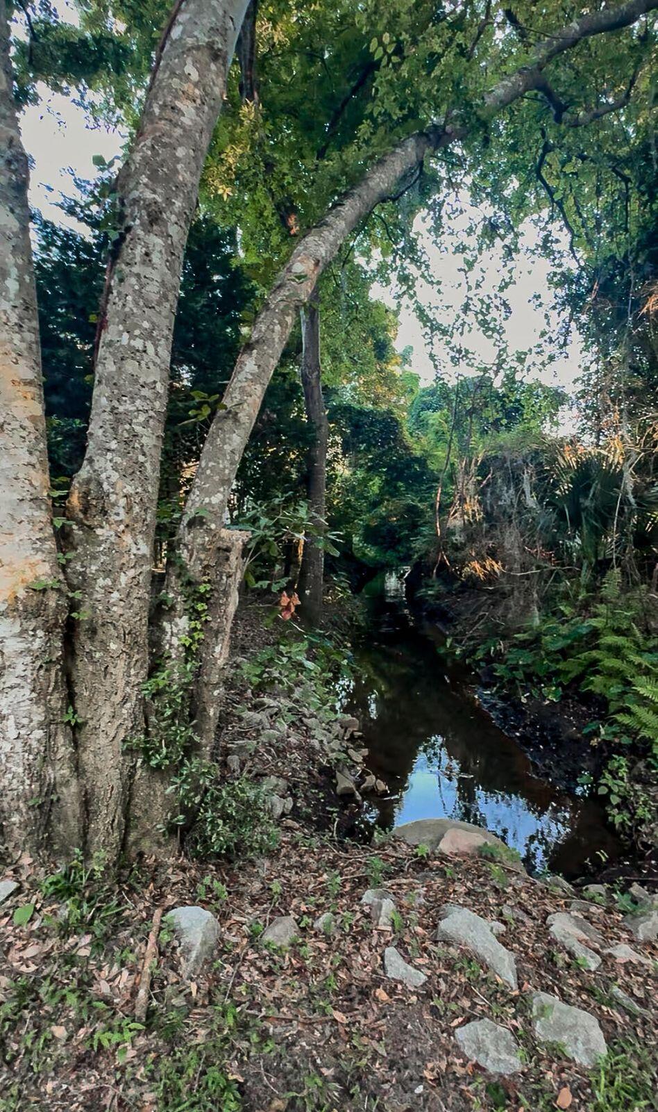 1509 W Palmetto Fort Drive