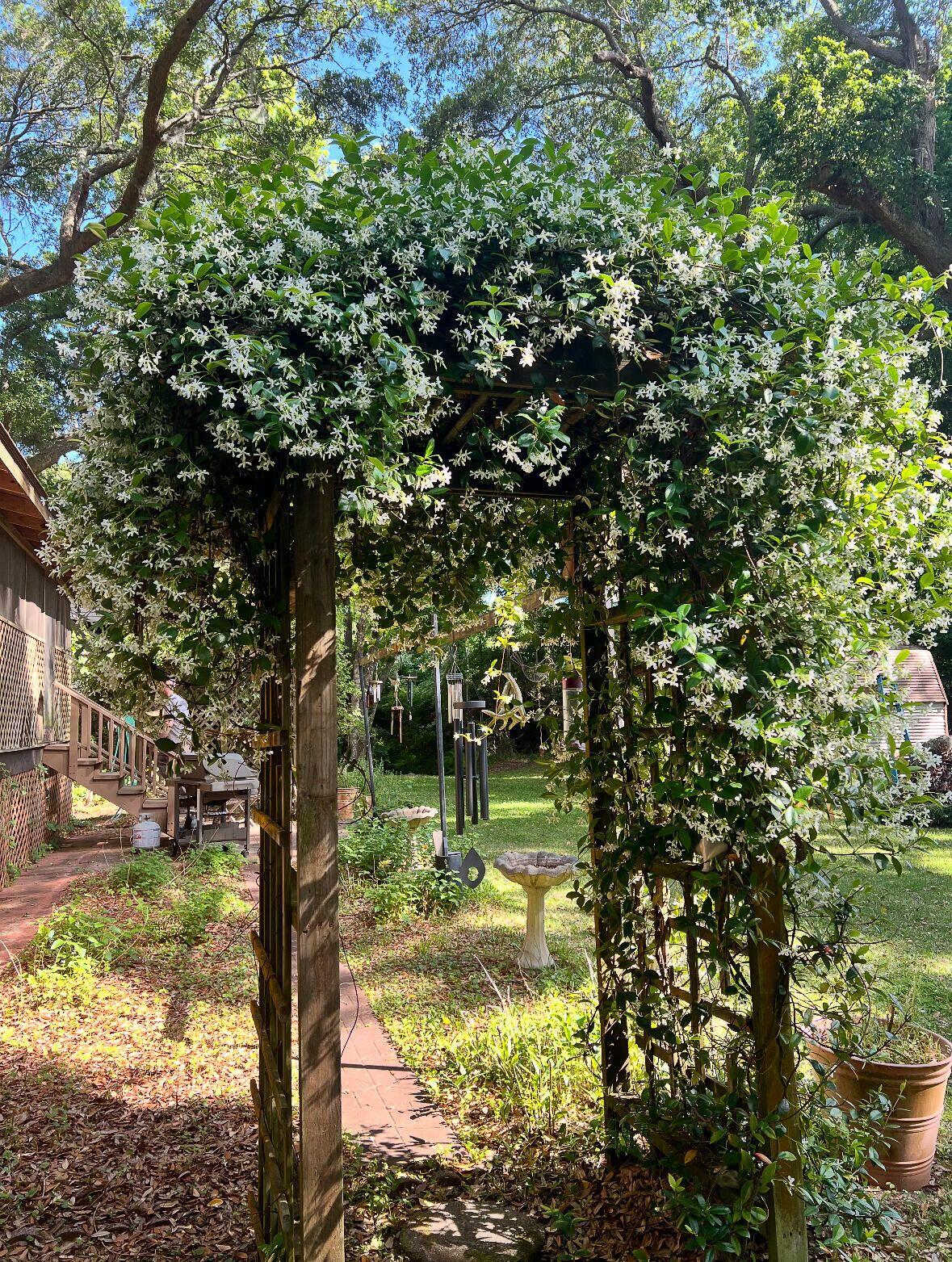 1509 W Palmetto Fort Drive