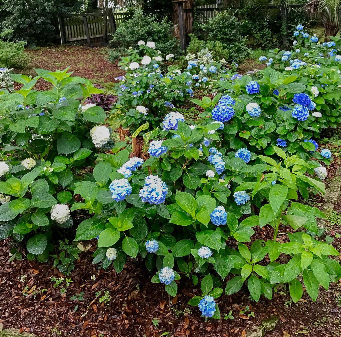 1509 W Palmetto Fort Drive