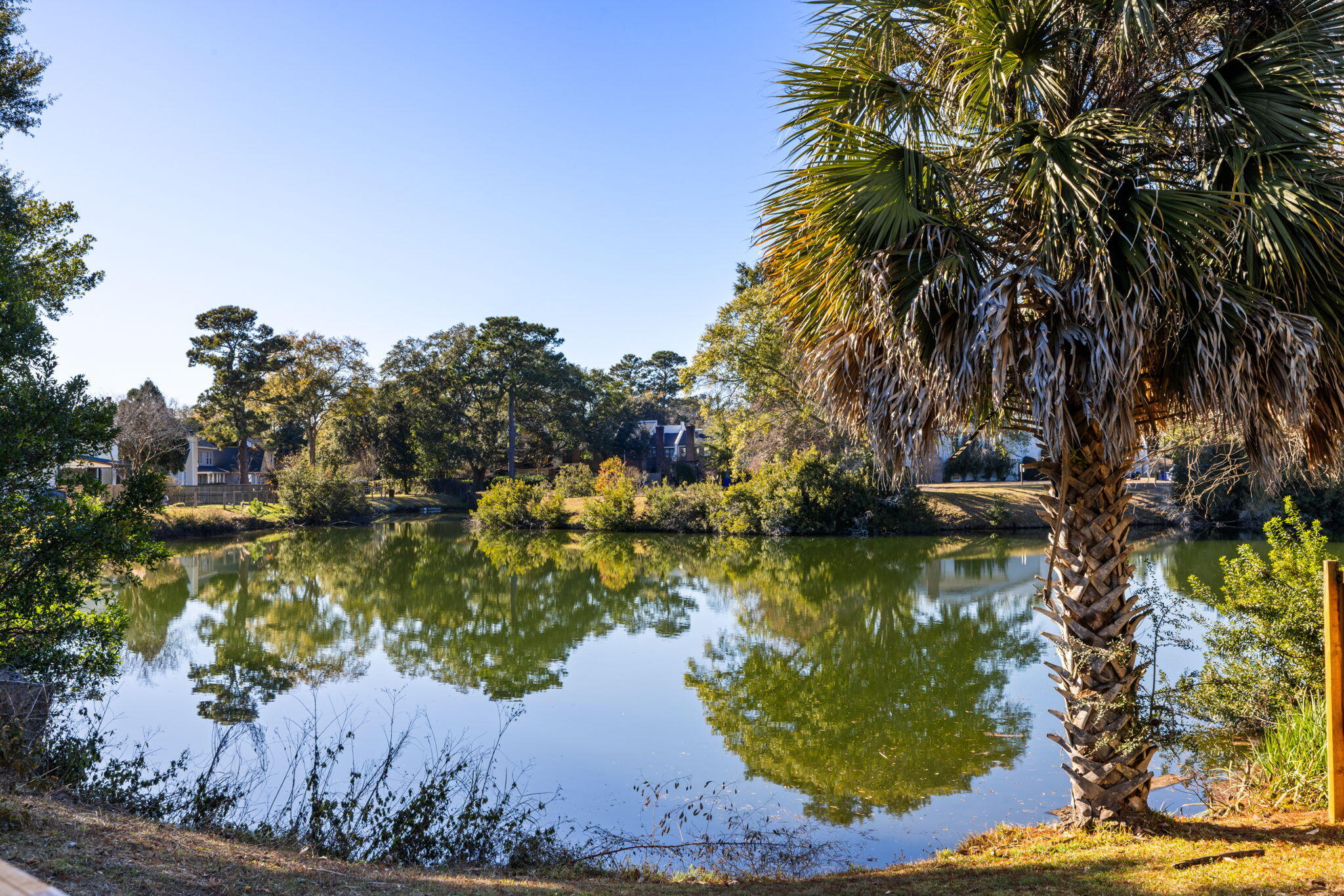 100 Oyster Point Row