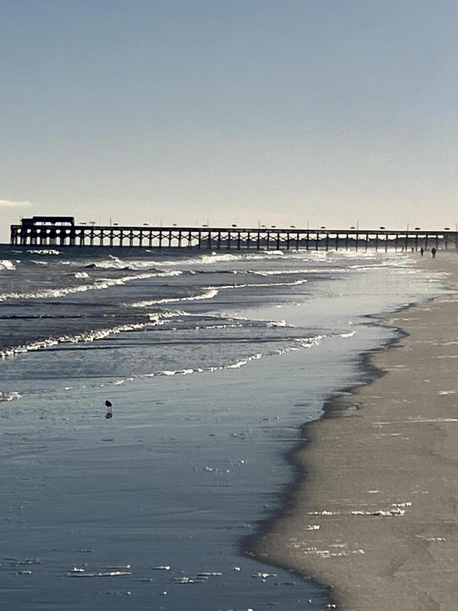 912 N Waccamaw Drive # 806