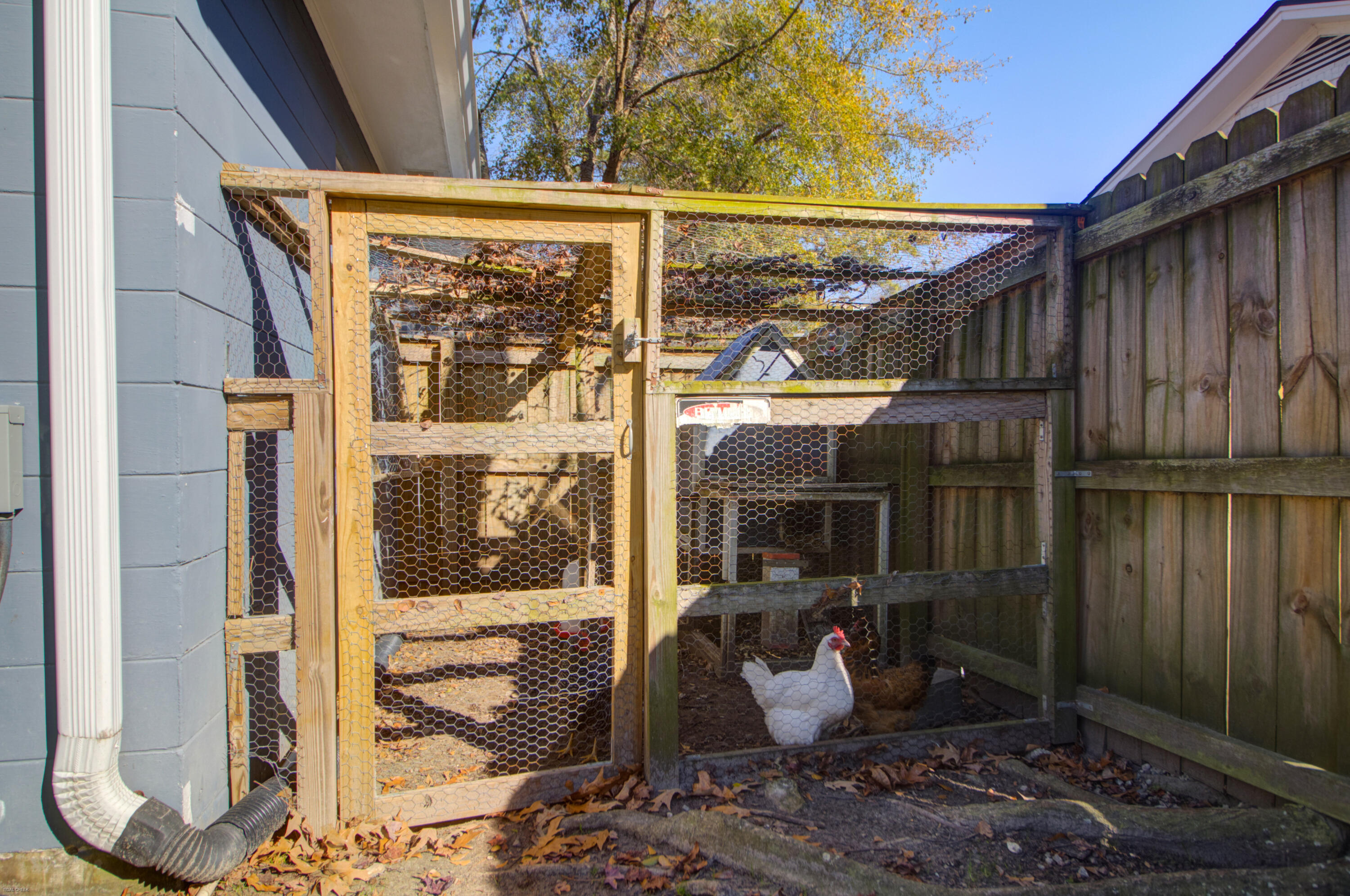 655 Wantoot Boulevard