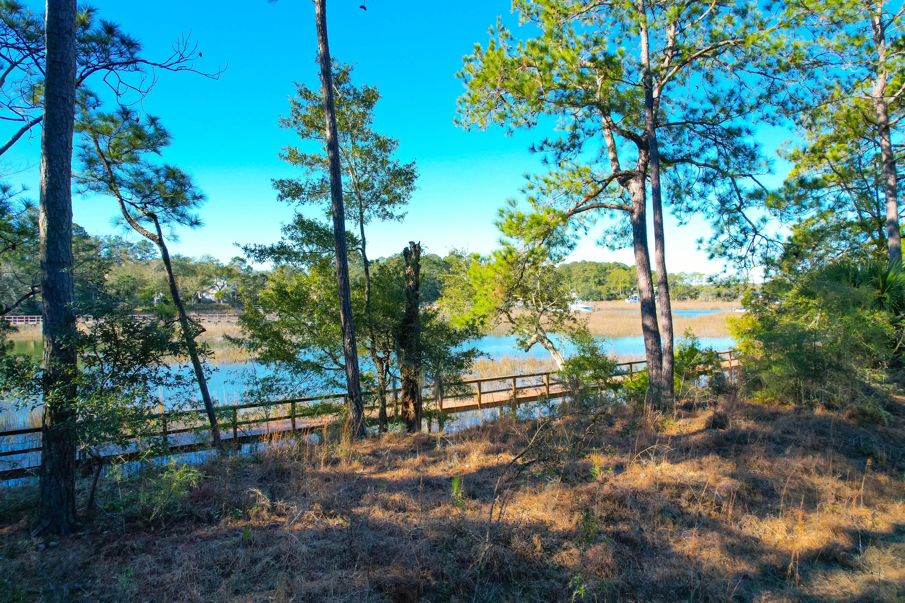 44 Edisto Ferry Road