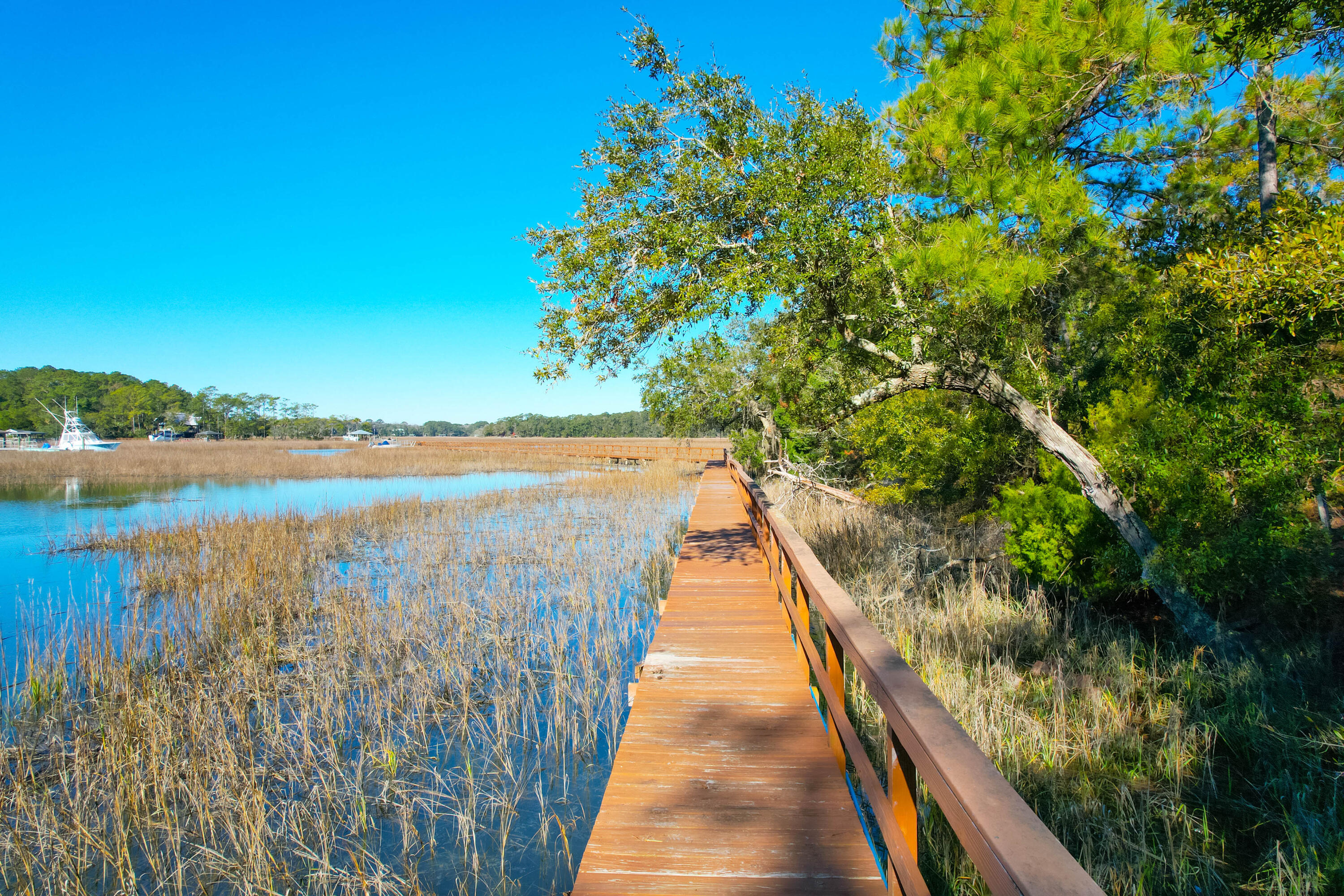 44 Edisto Ferry Road
