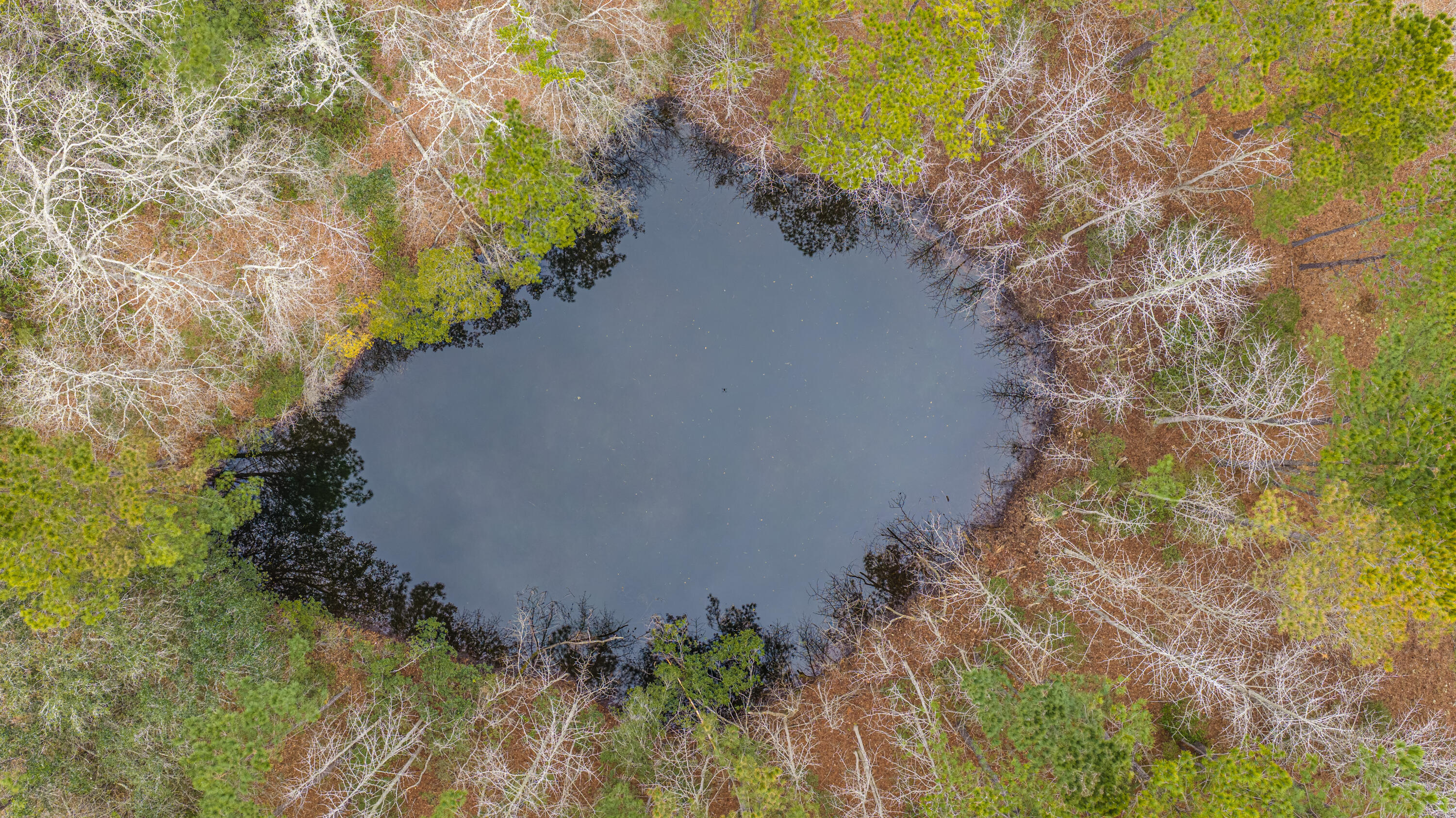 5553 Elliott Estates Road