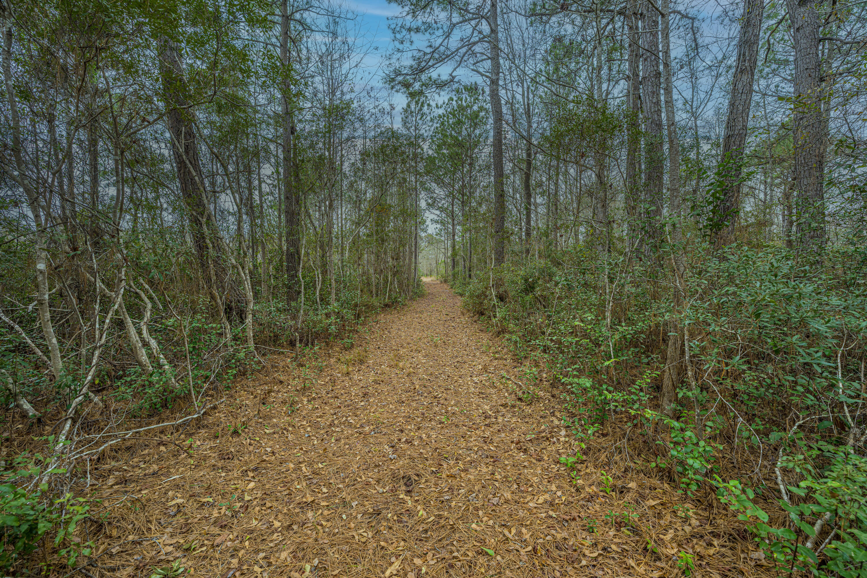 5553 Elliott Estates Road