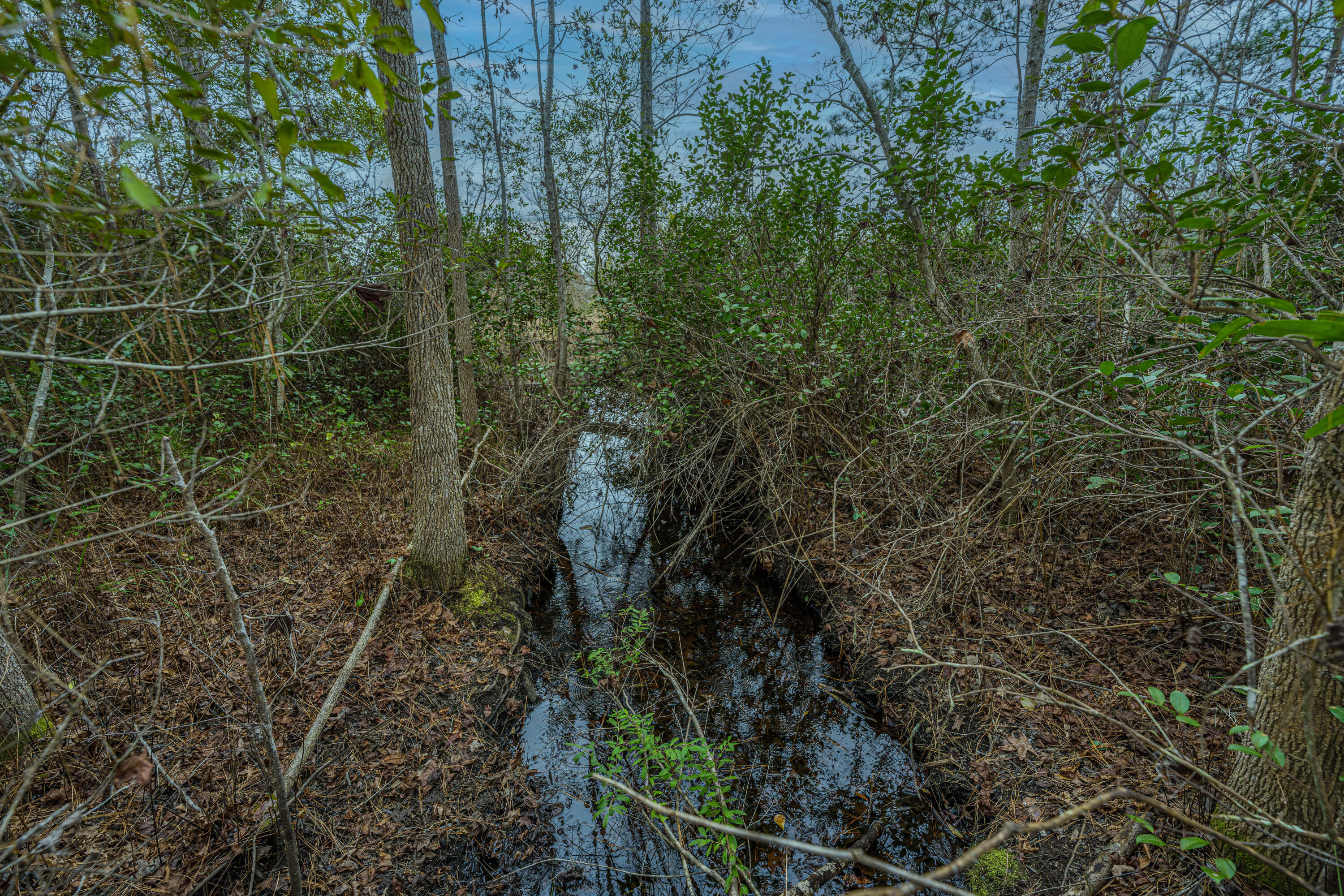 5553 Elliott Estates Road