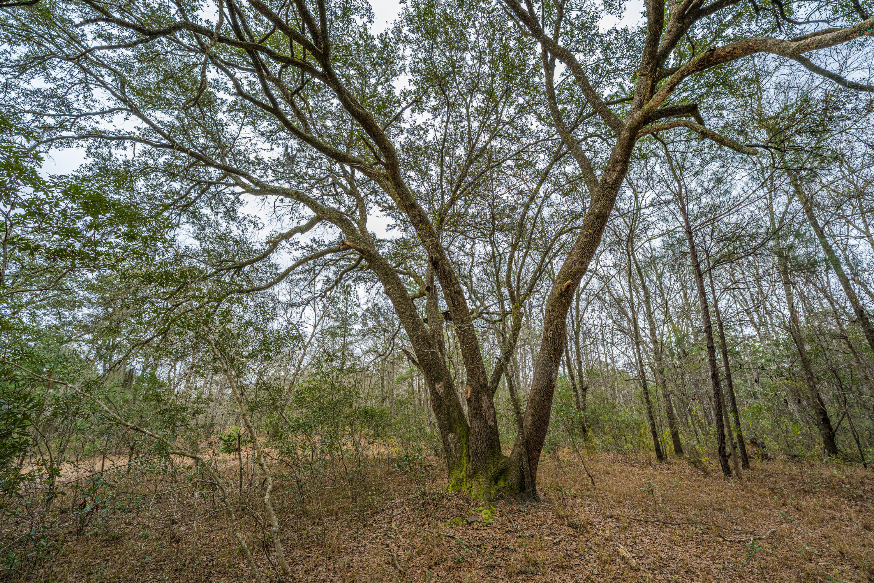 5553 Elliott Estates Road