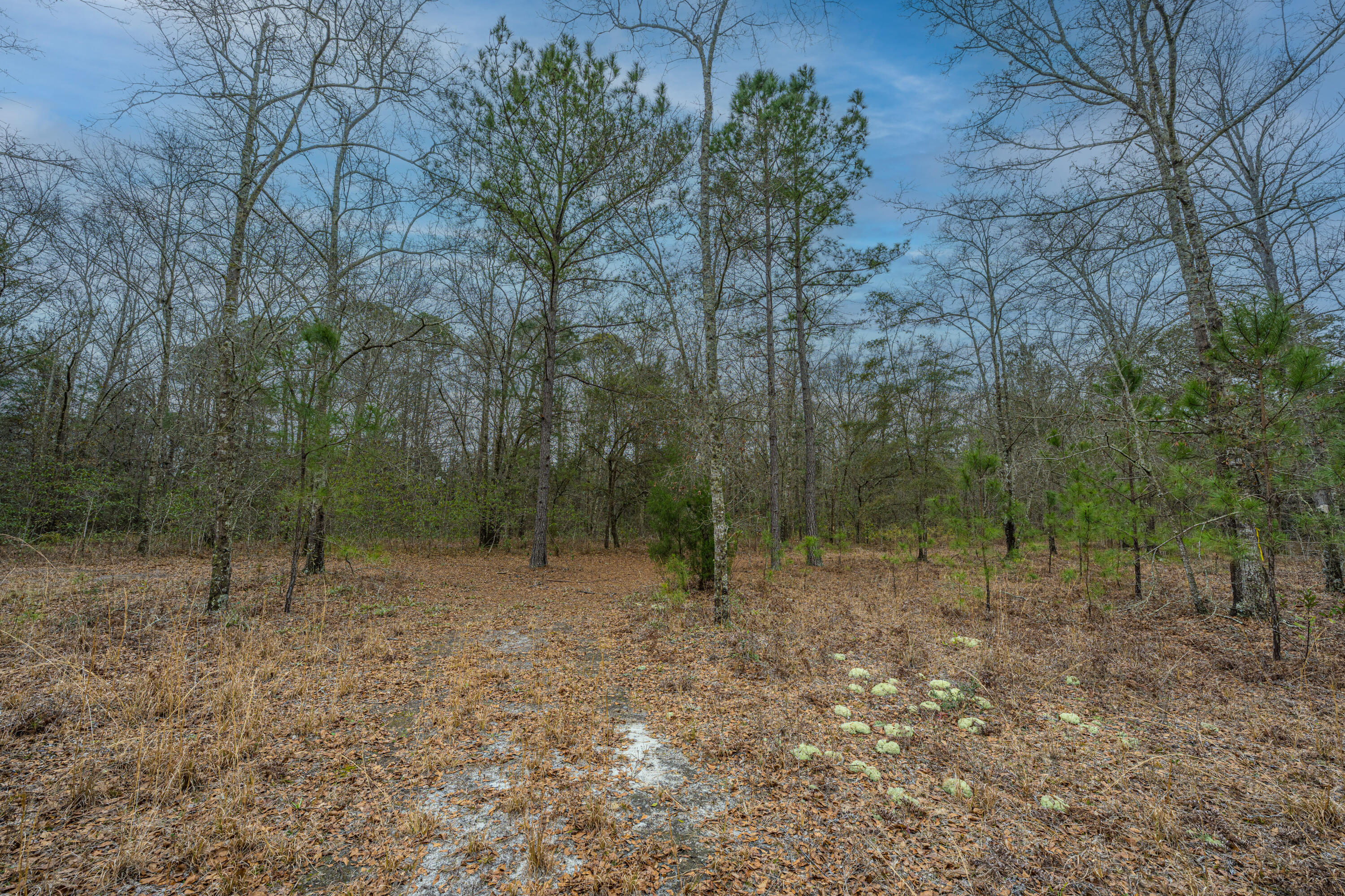 5553 Elliott Estates Road