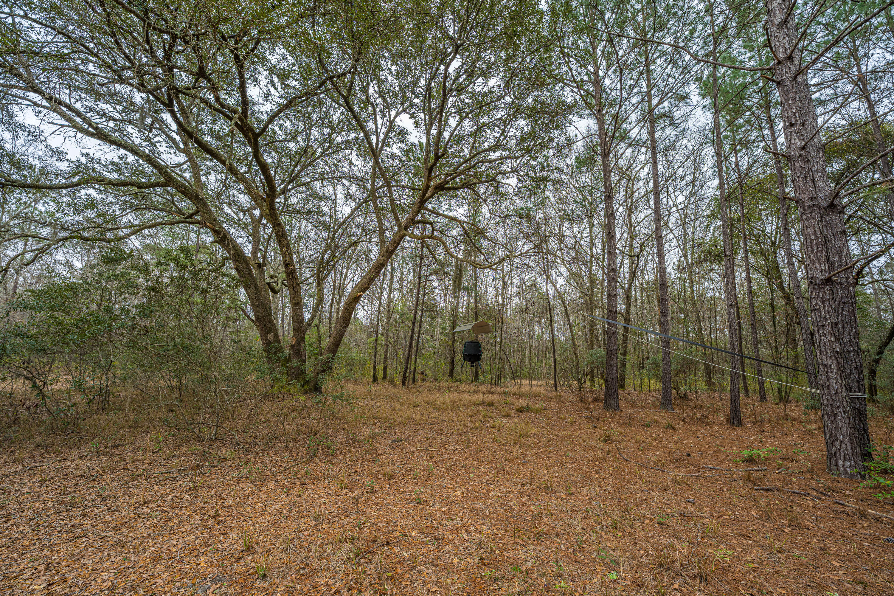 5553 Elliott Estates Road