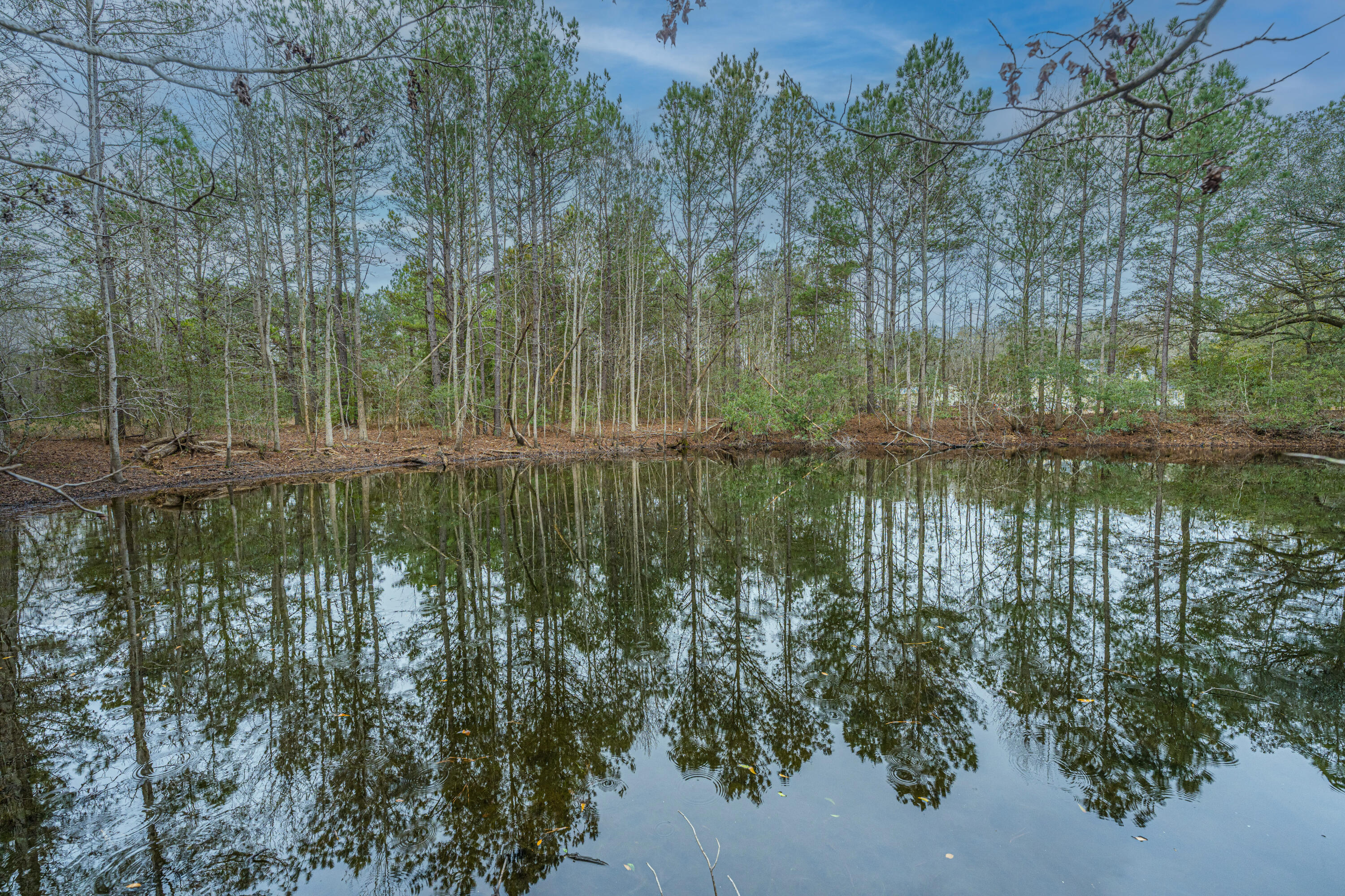 5553 Elliott Estates Road