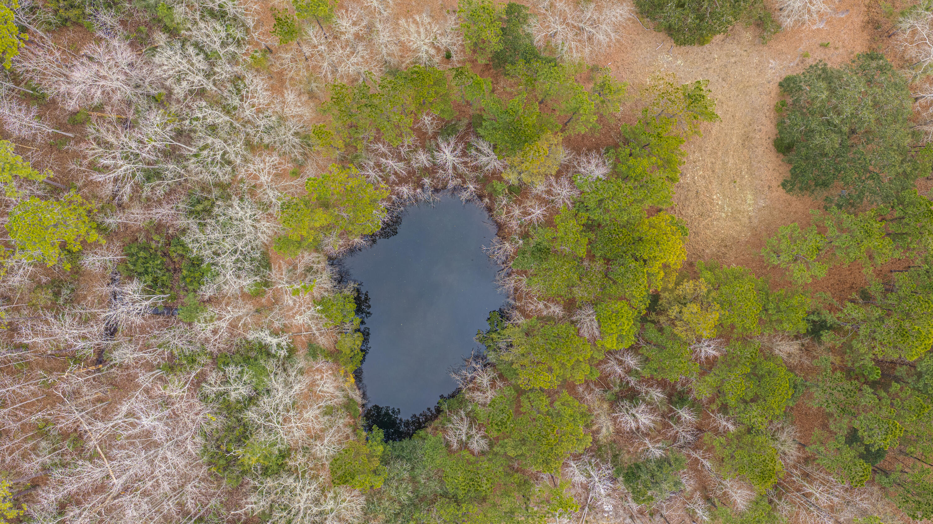 5553 Elliott Estates Road