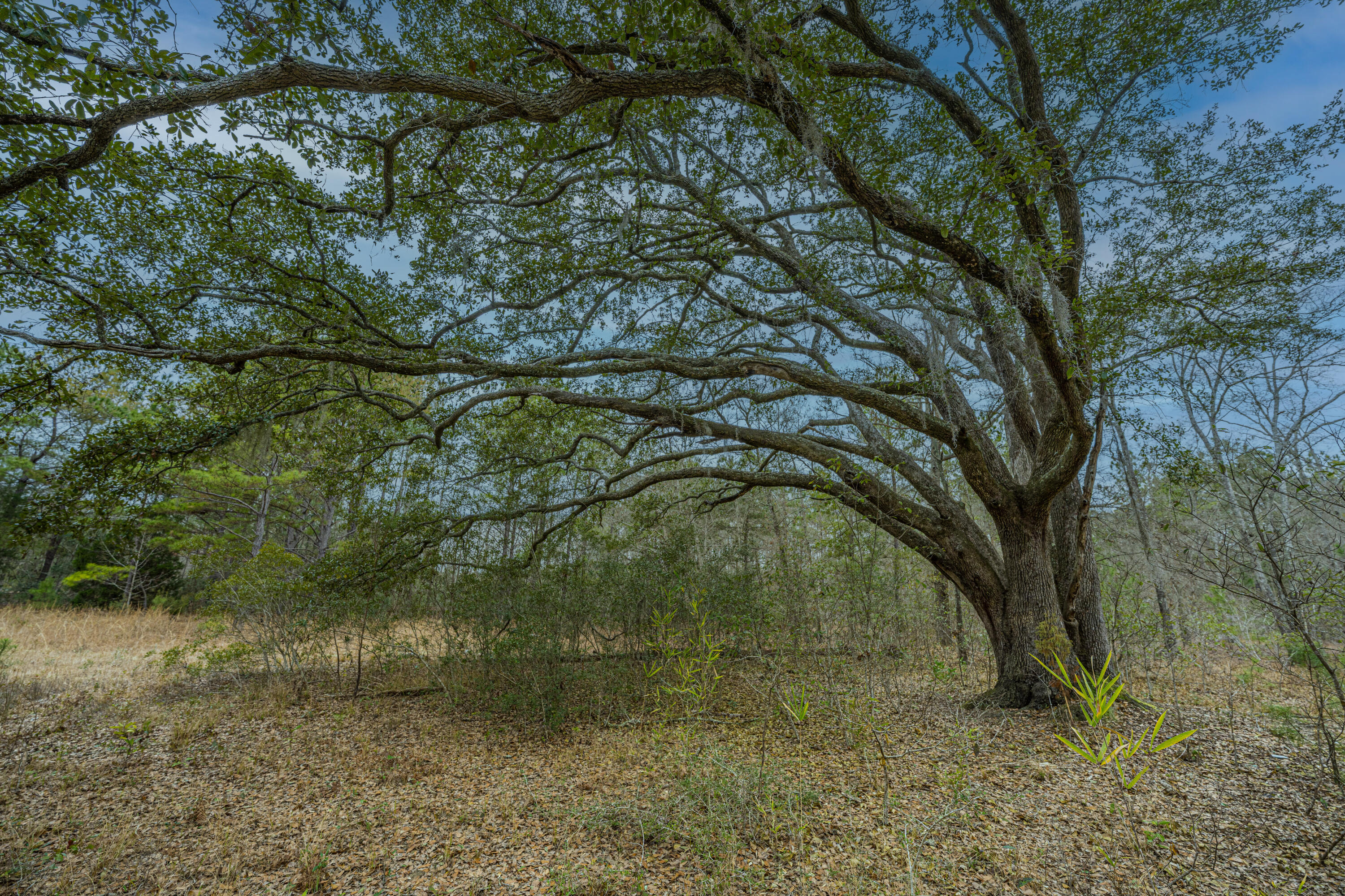 5553 Elliott Estates Road