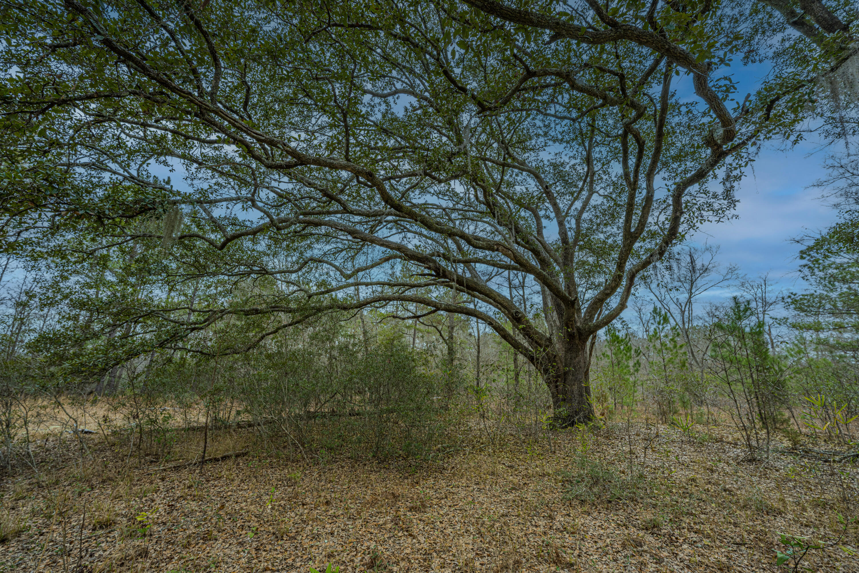 5553 Elliott Estates Road