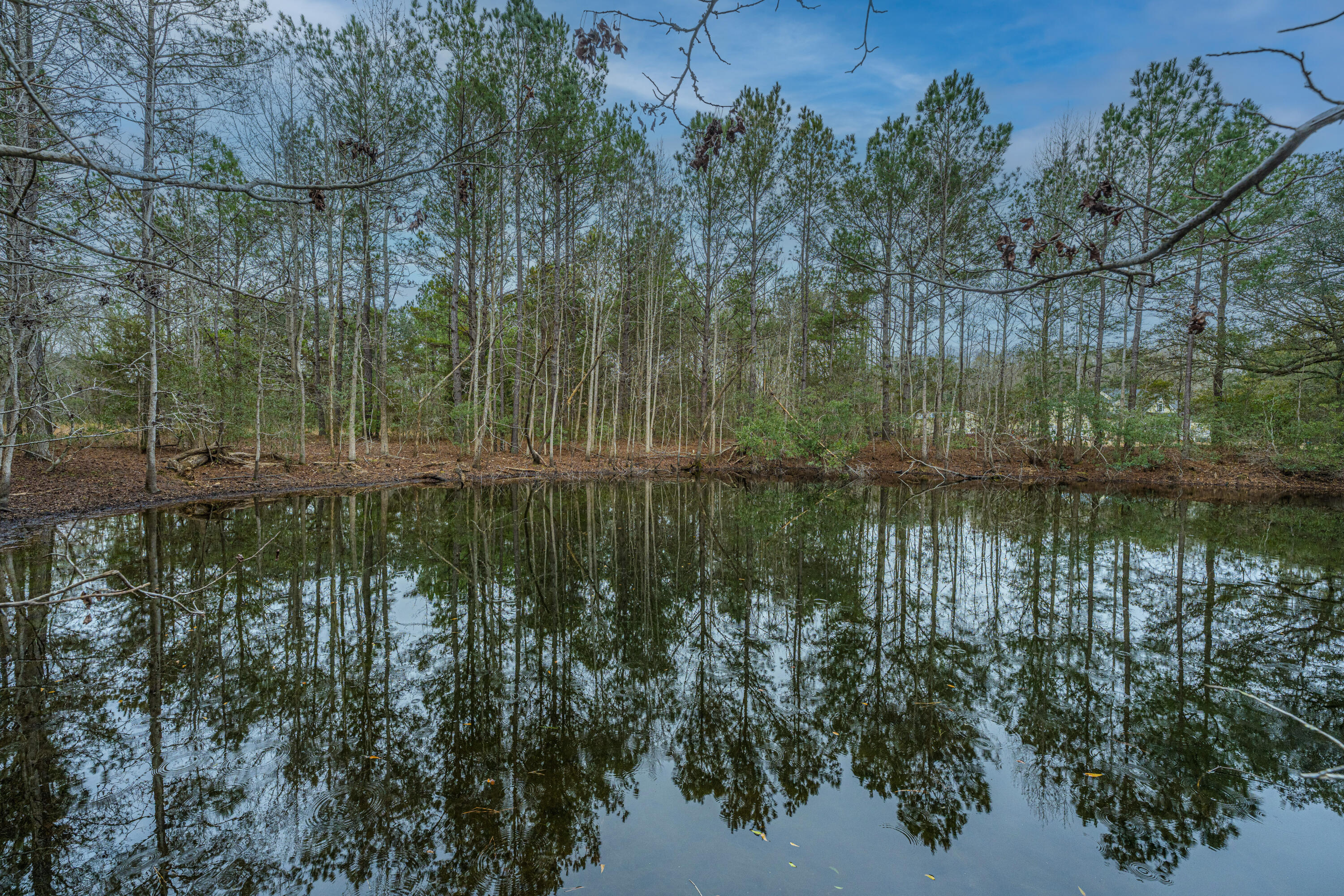 5553 Elliott Estates Road