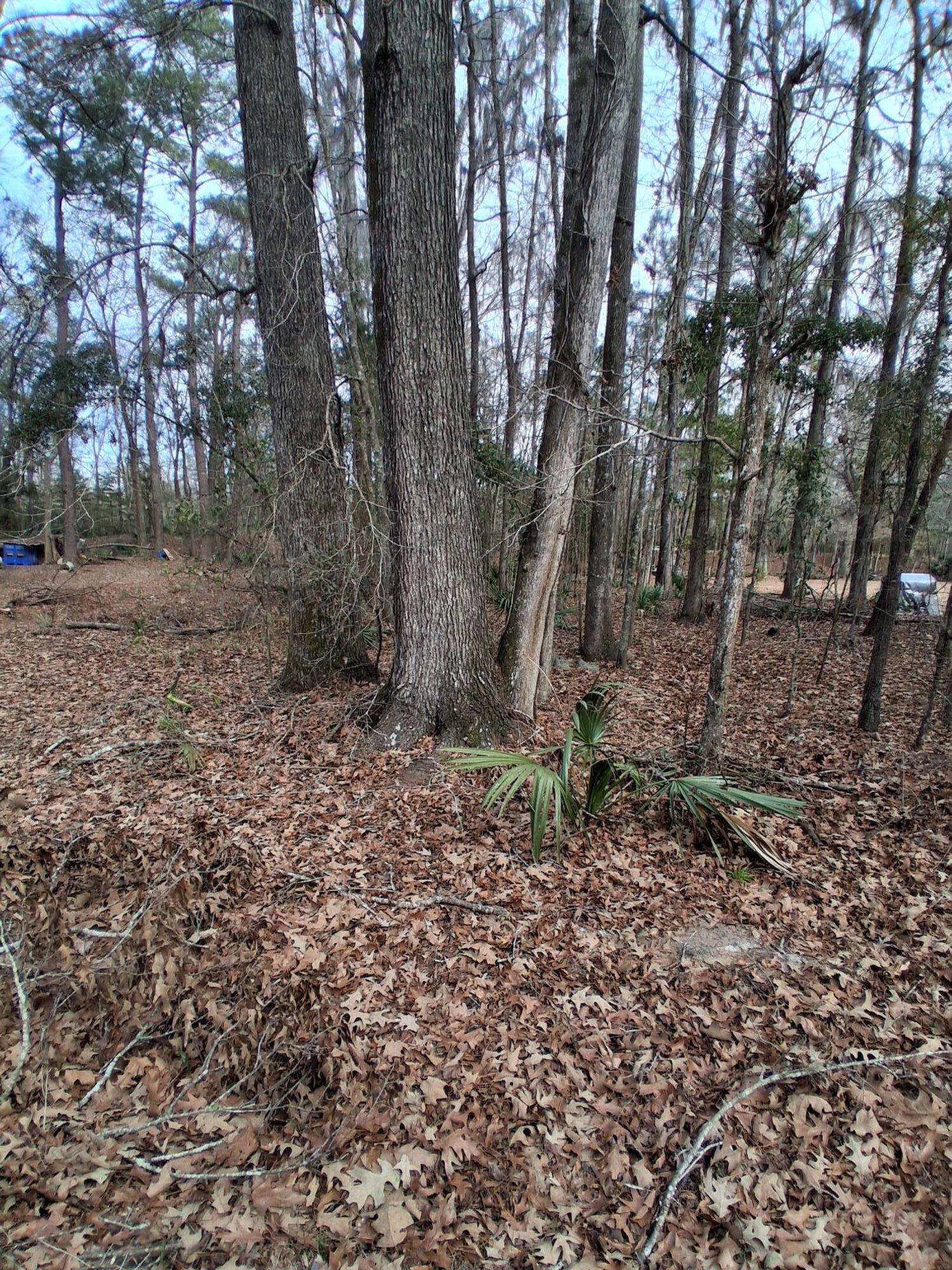 0 Crumley Road Lot 47a Unit: Lot 47 And 47a