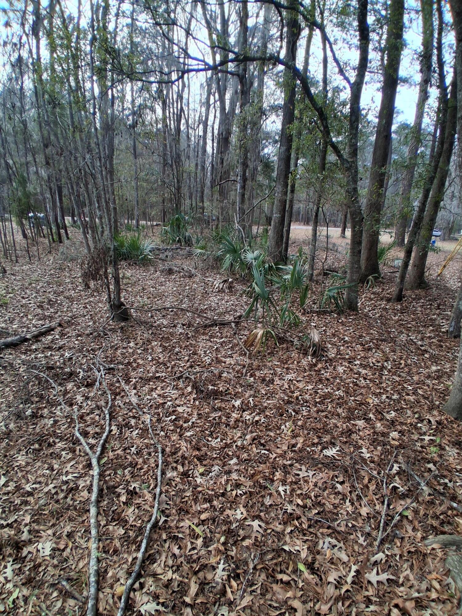 0 Crumley Road Lot 47a Unit: Lot 47 And 47a