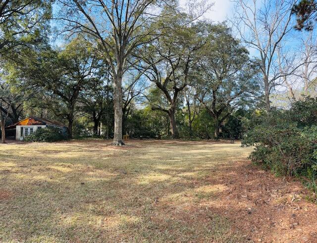 835 Mellichamp Drive