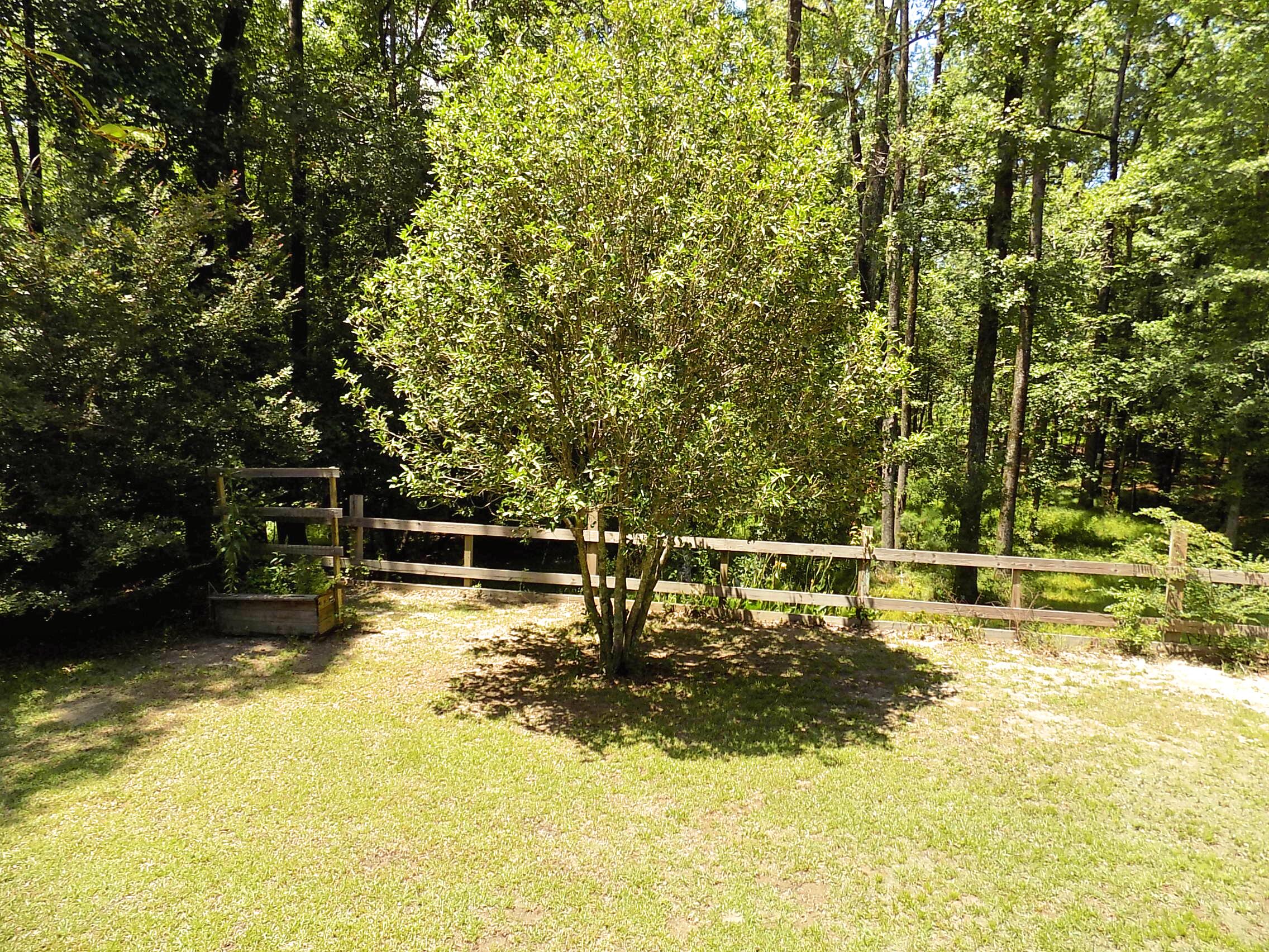 6370 Shilelagh Oaks Parkway