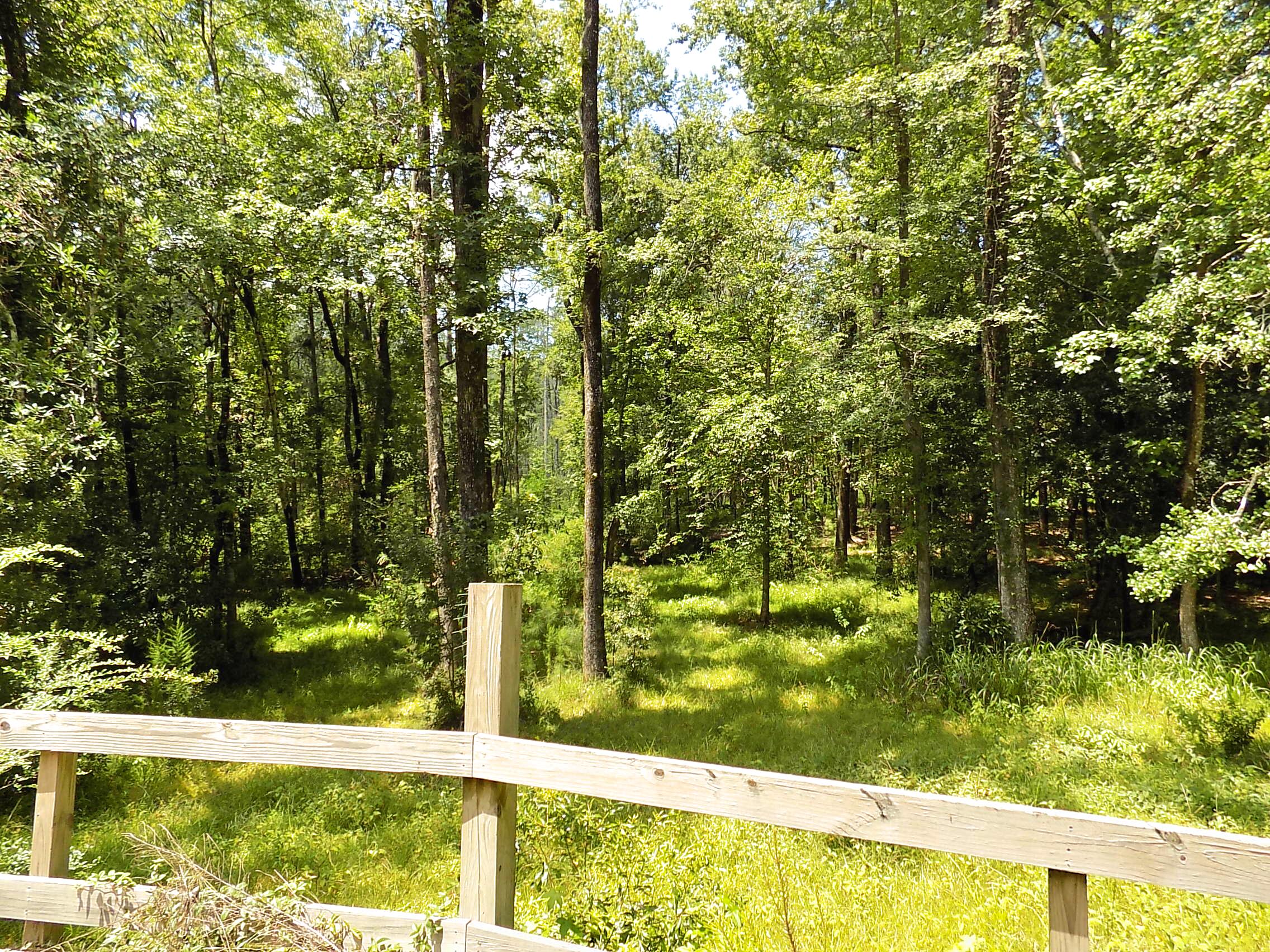 6370 Shilelagh Oaks Parkway